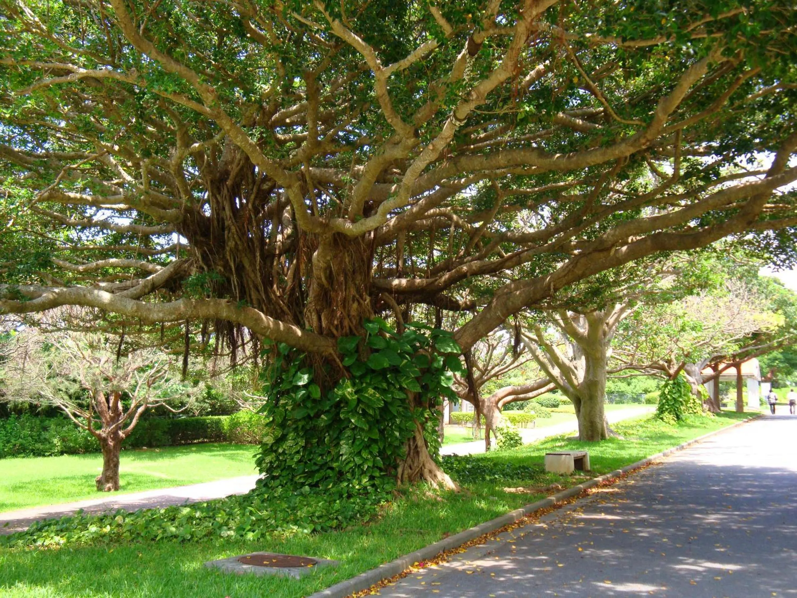 Off site in Ocean Front YAMAKAWA