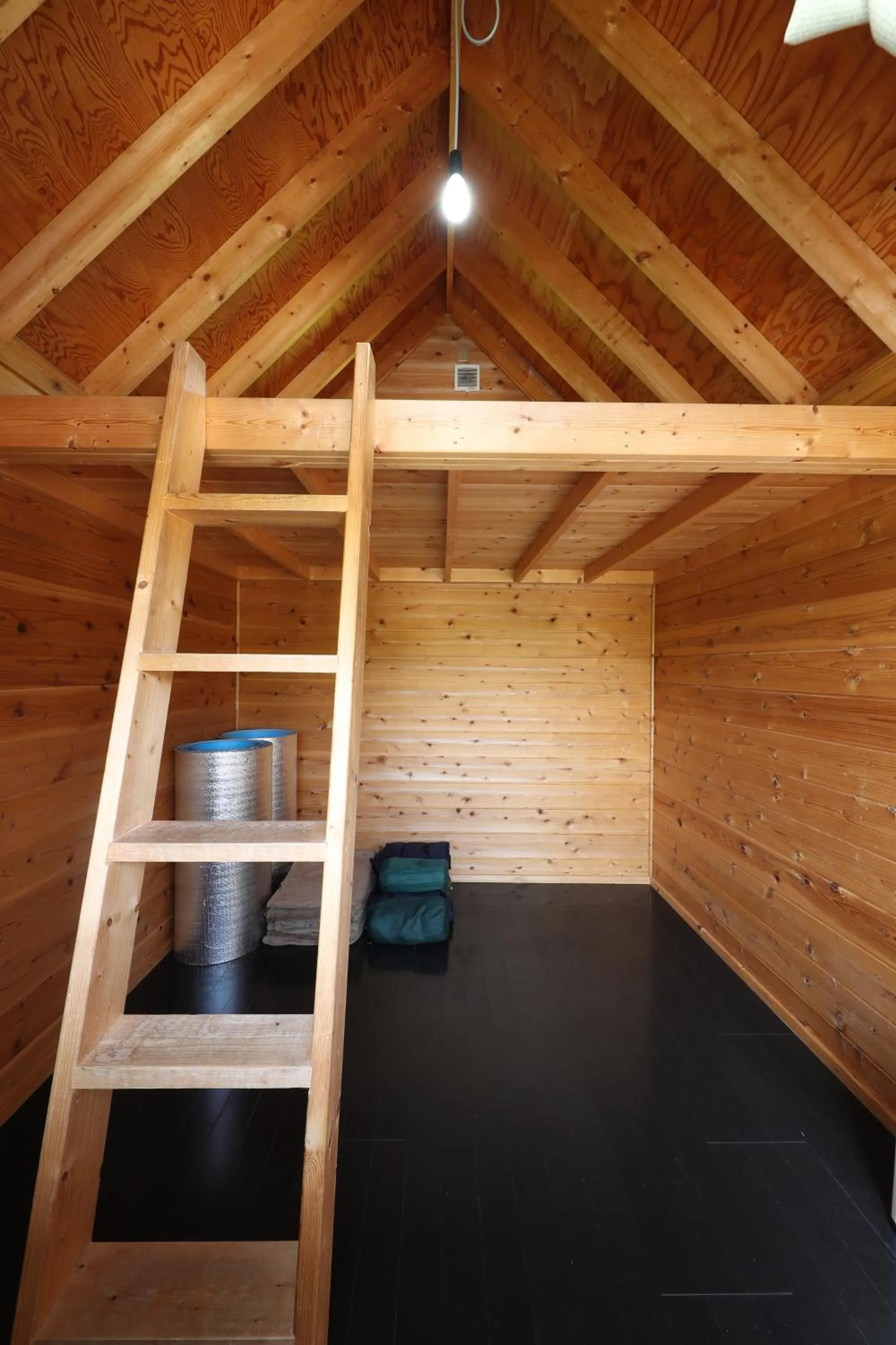 Photo of the whole room in Asian Camp Resort TAPA