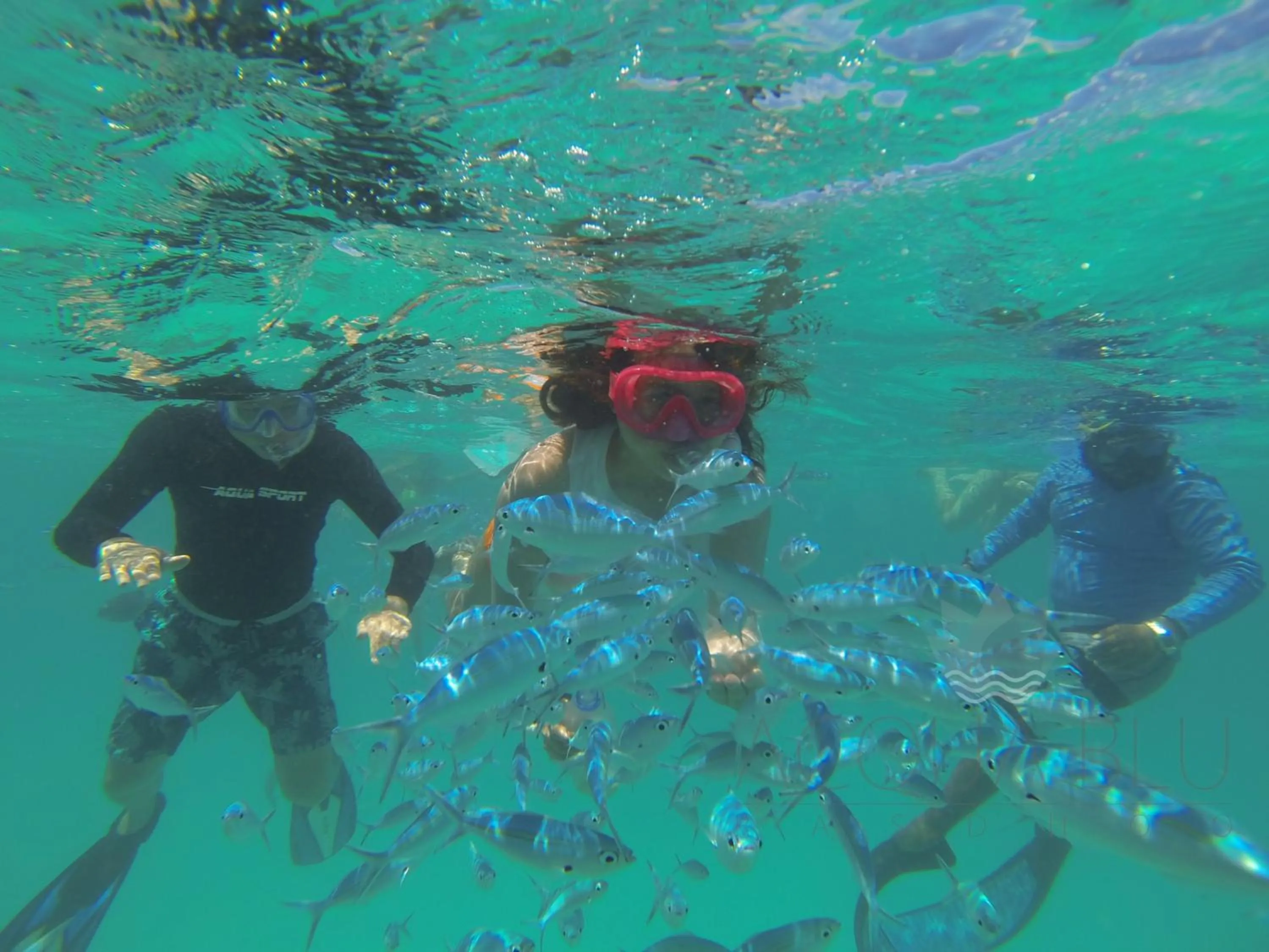 View (from property/room) in Acqua Blu Rasdhoo