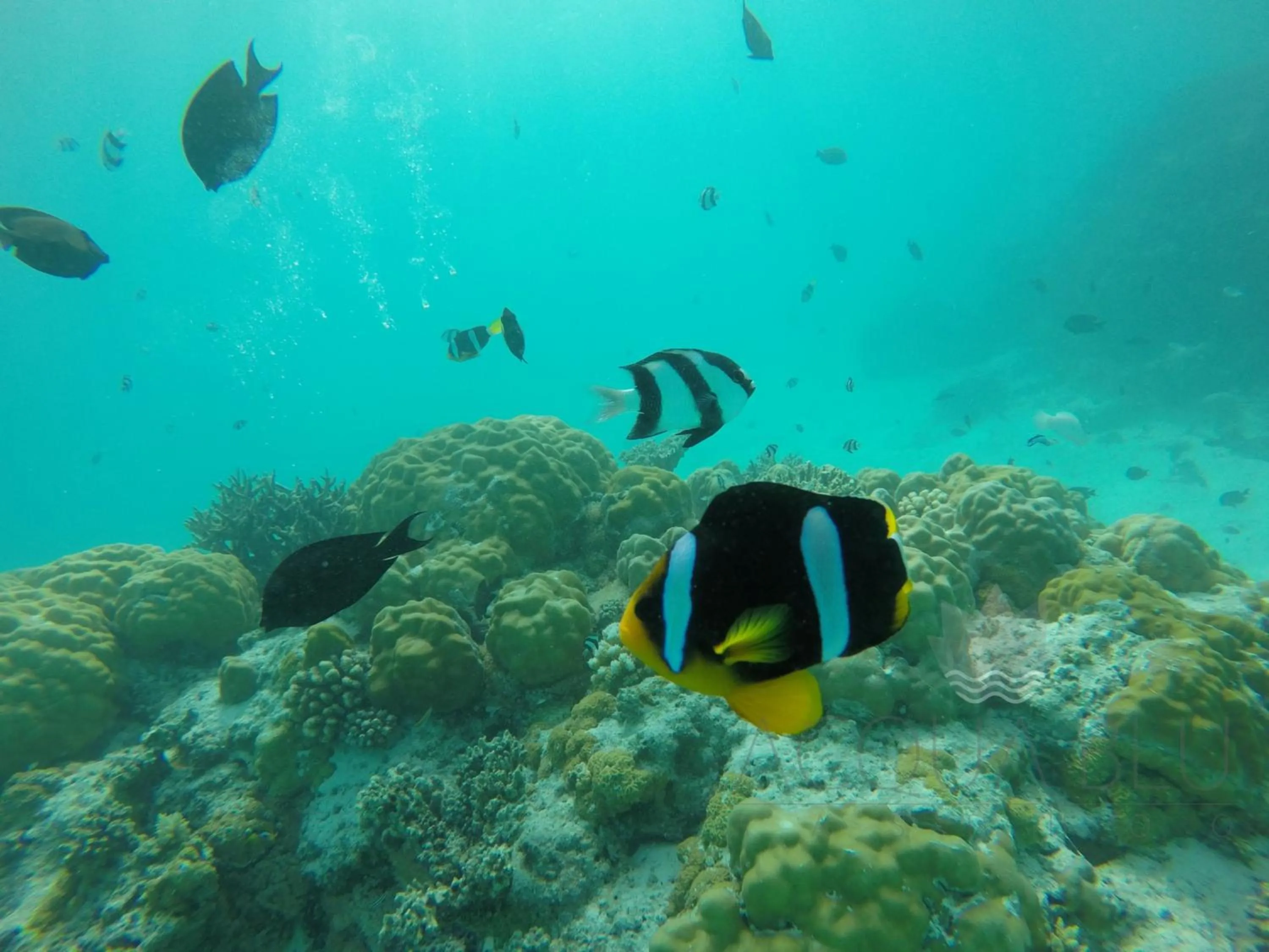 View (from property/room) in Acqua Blu Rasdhoo