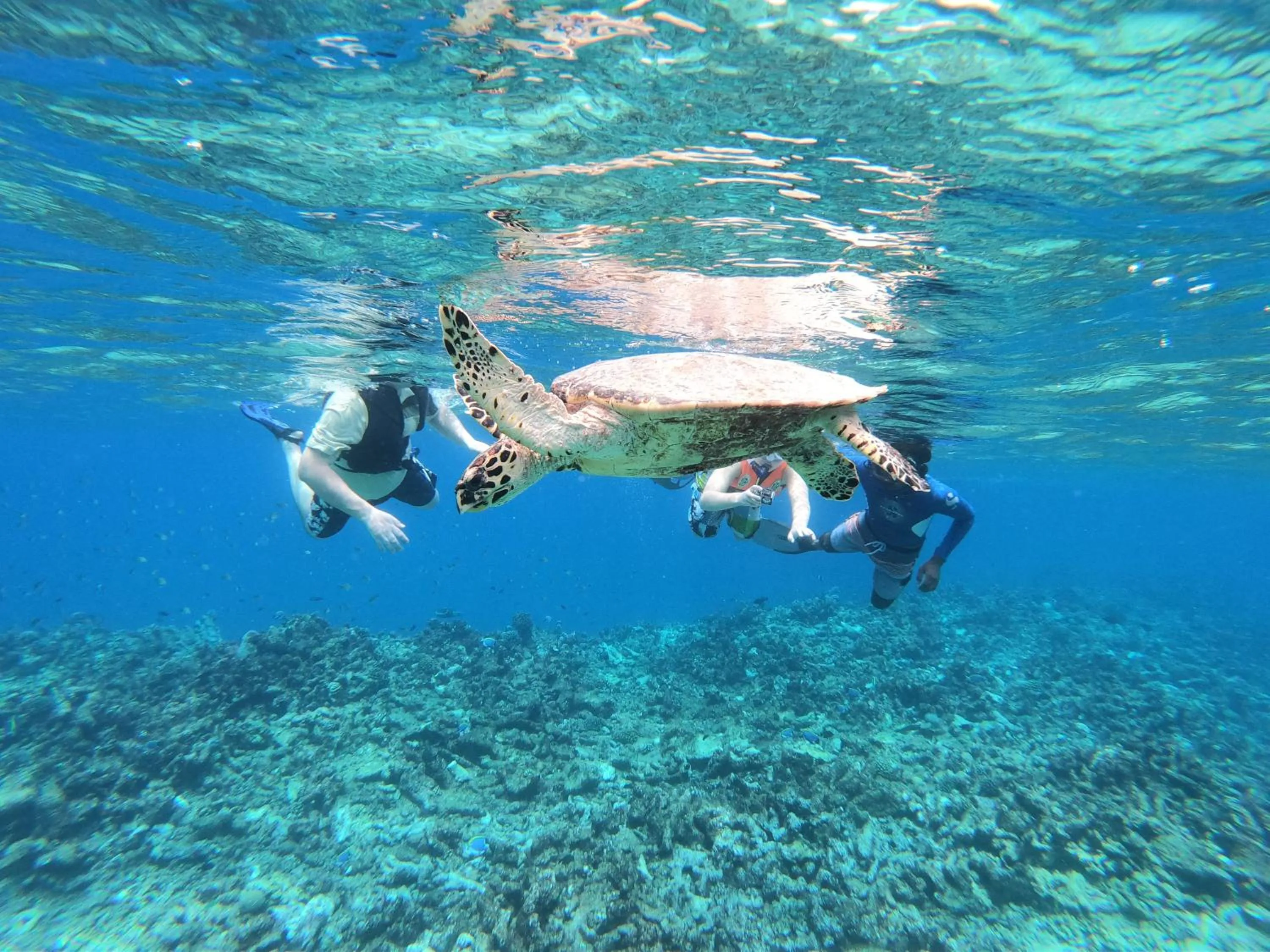 Snorkeling in Acqua Blu Rasdhoo