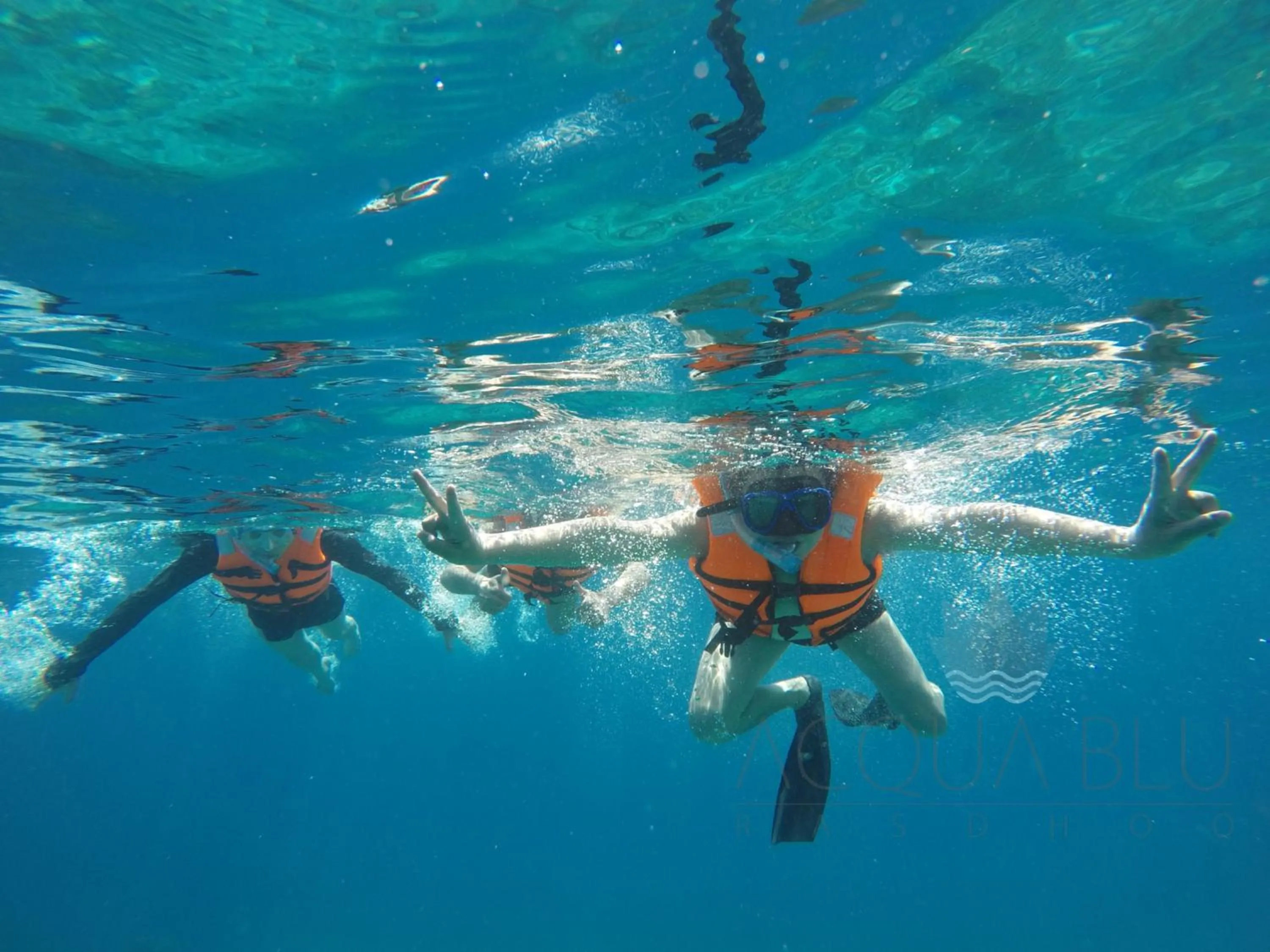 Other in Acqua Blu Rasdhoo