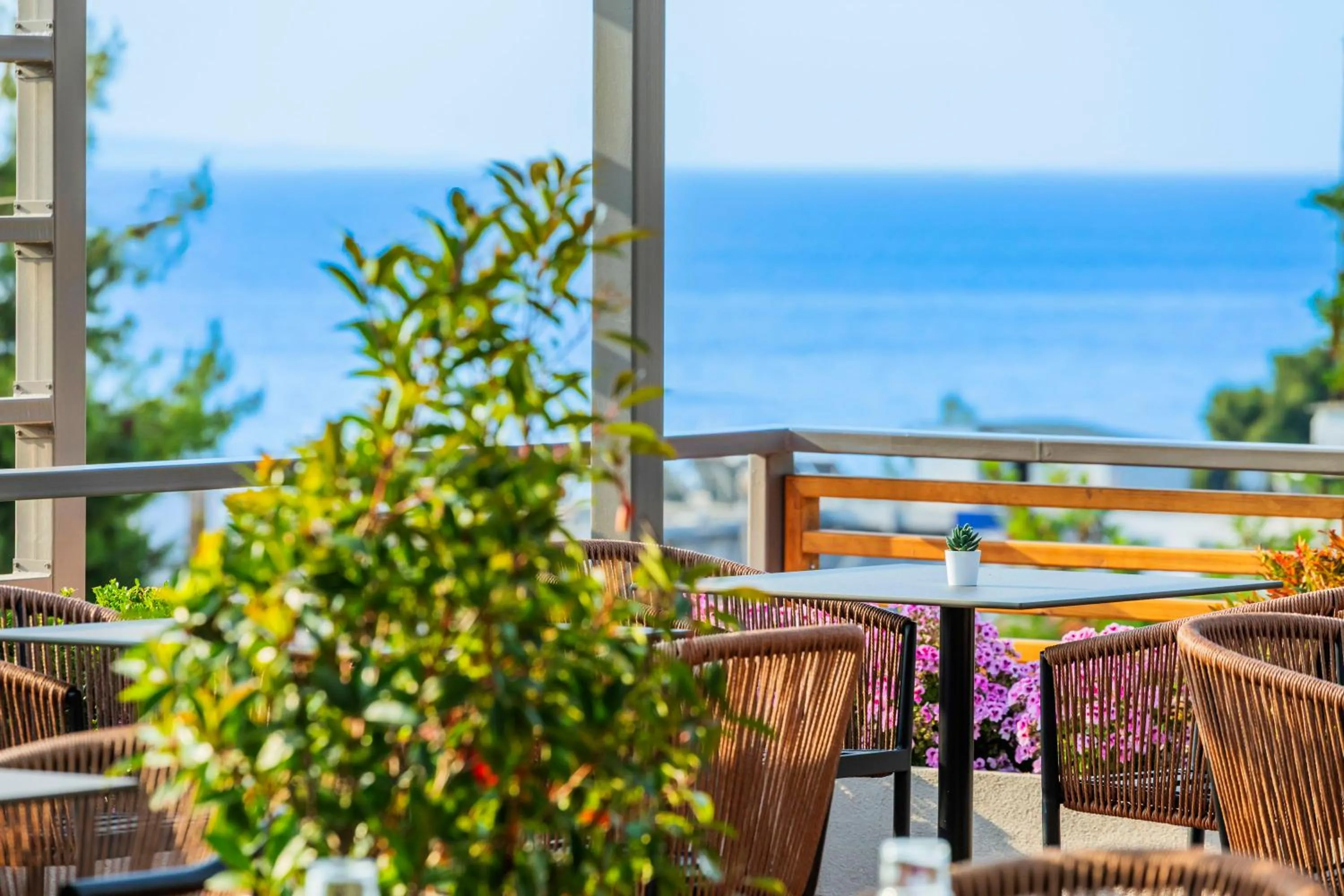 View (from property/room) in Hotel Vozina