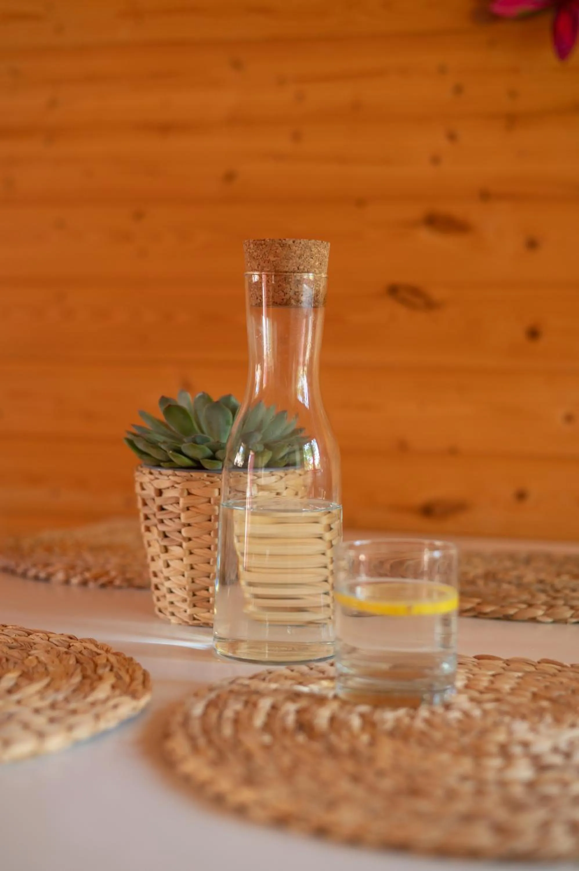 Food and drinks in Kolorowe Domki