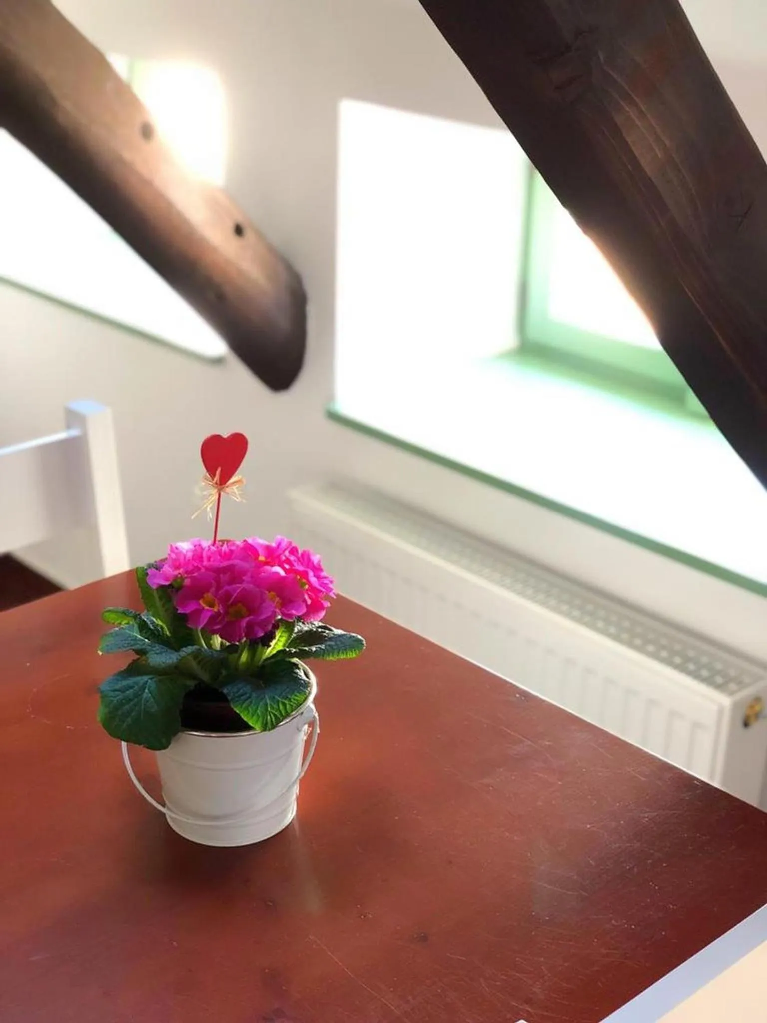 Living room in Kap Café