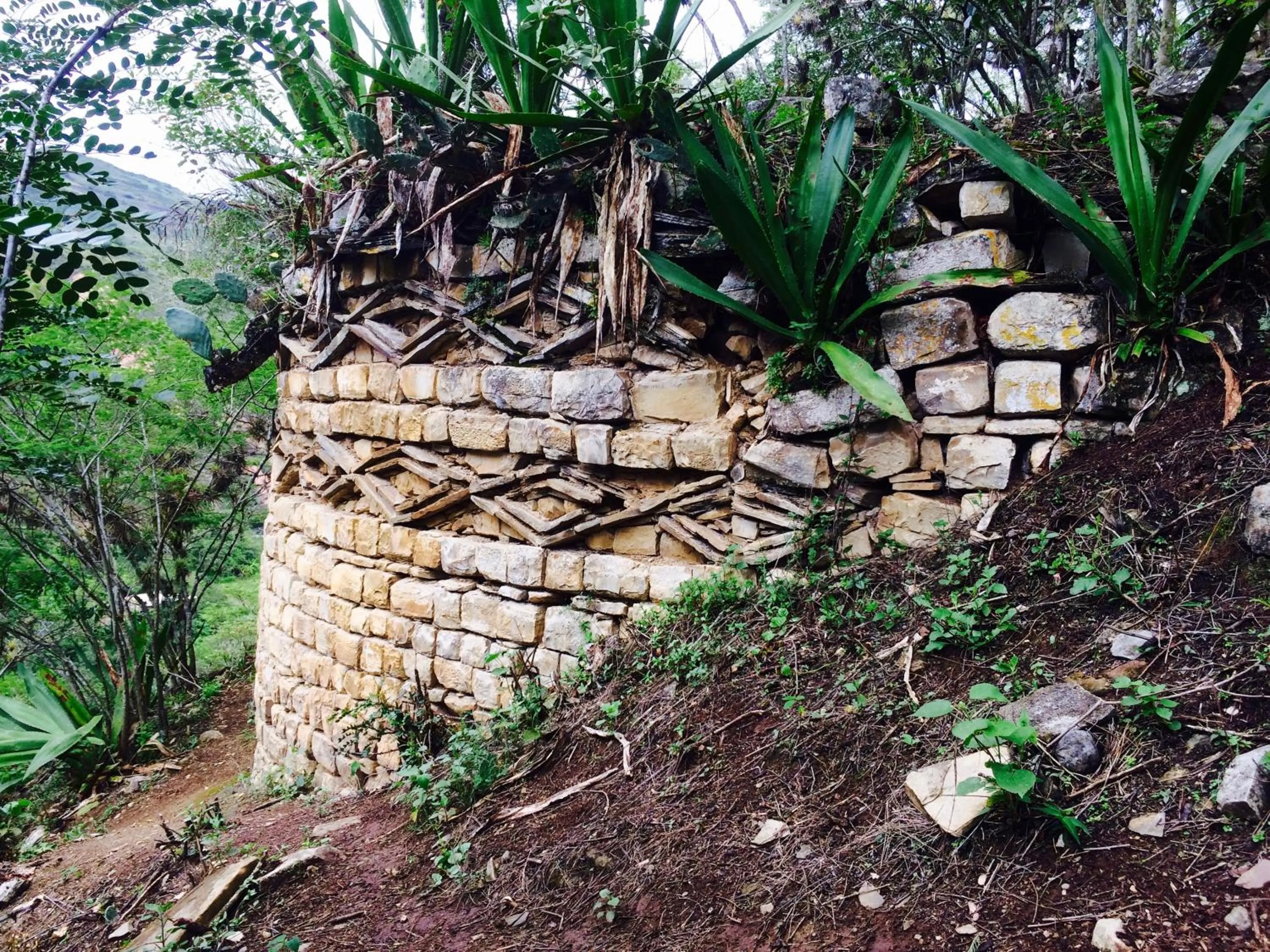 Activities in Ekokuelap Lodge y turismo alternativo