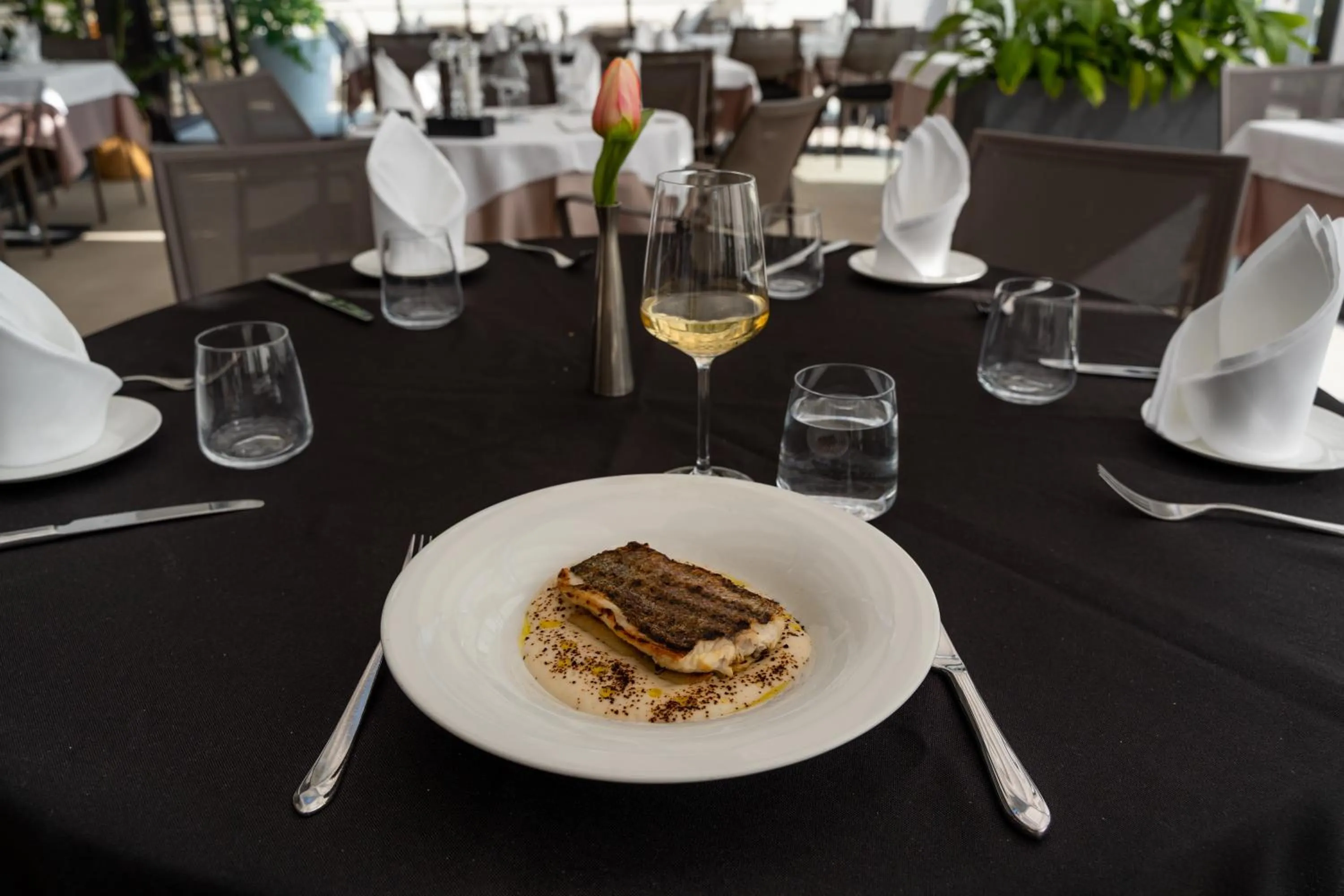 Grand Hotel Slavia - Adults only