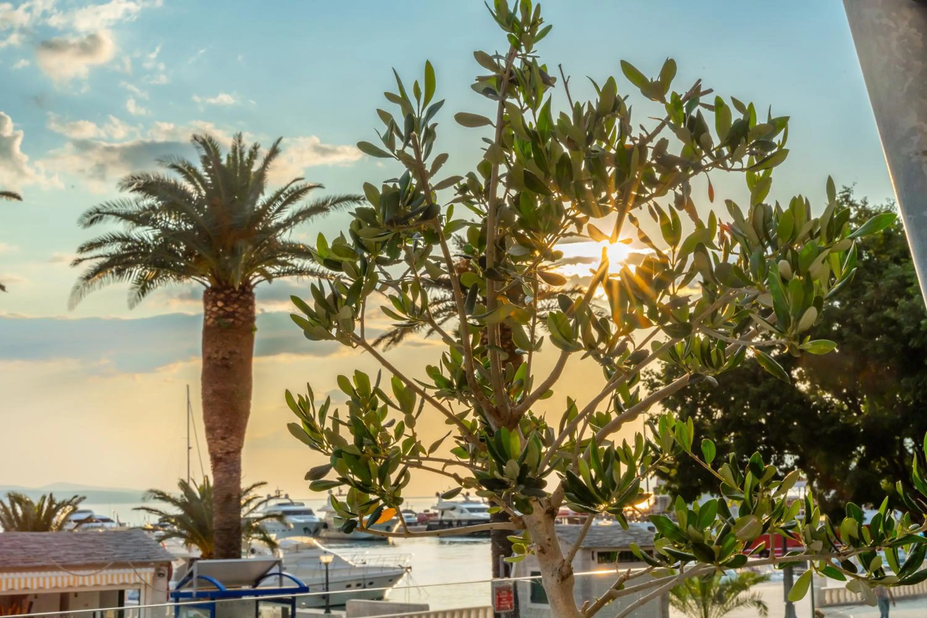 Grand Hotel Slavia - Adults only