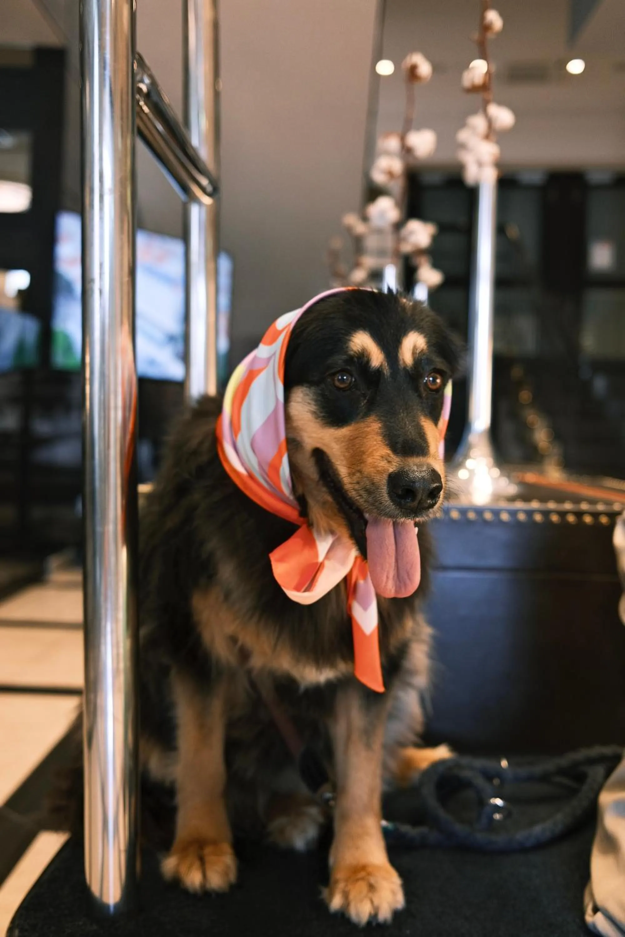 Grand Hotel Slavia - Adults only