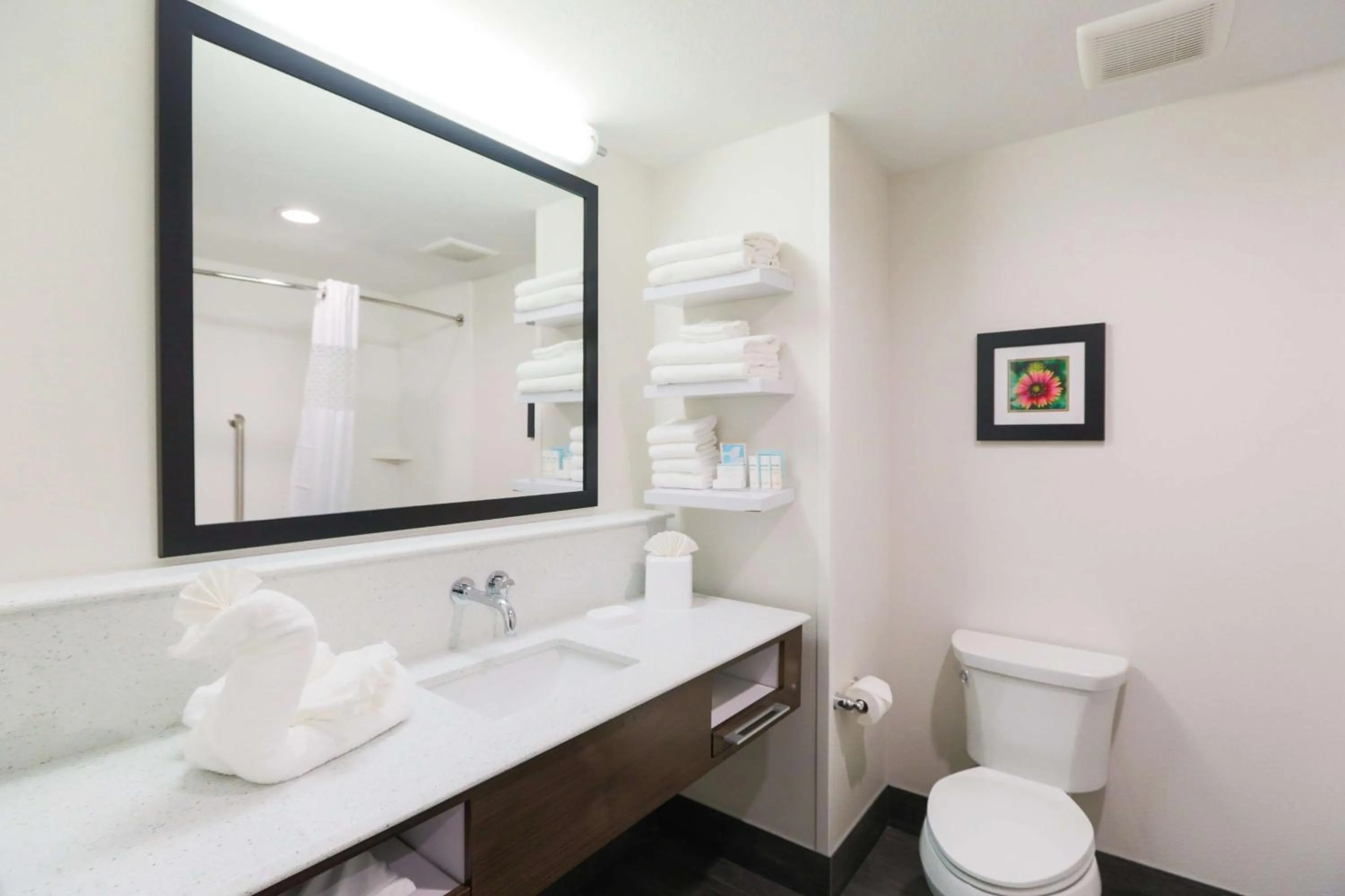 Bathroom in Hampton Inn El Reno Ok