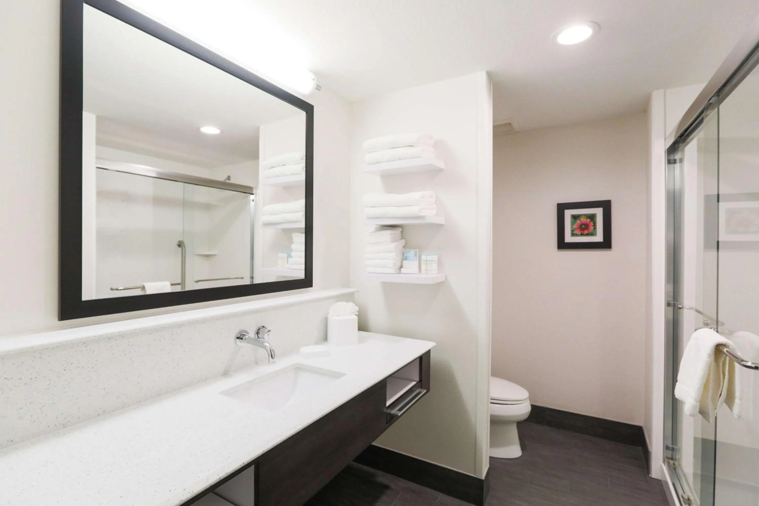 Bathroom in Hampton Inn El Reno Ok