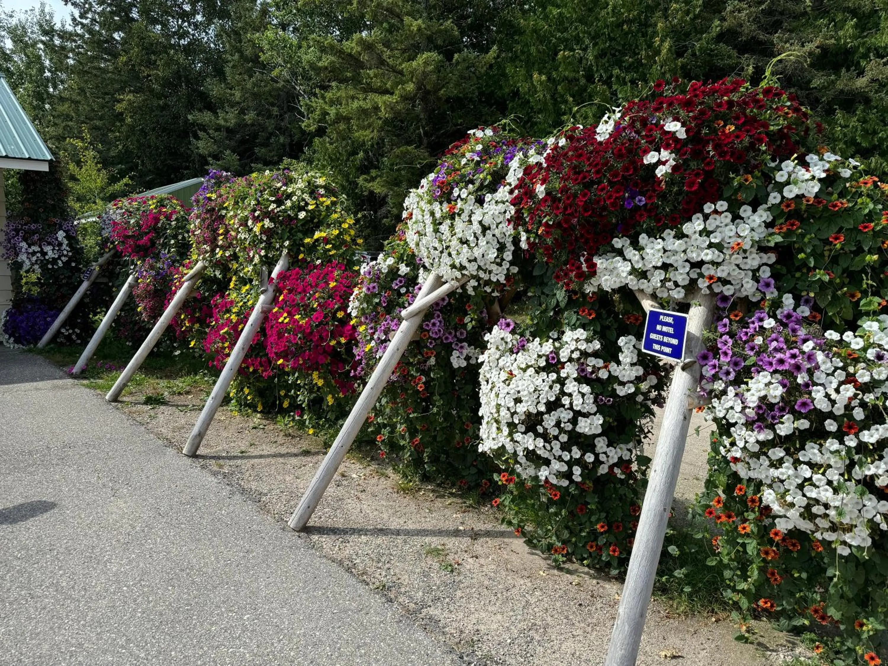 Sunset Motel at Armand's Gardens