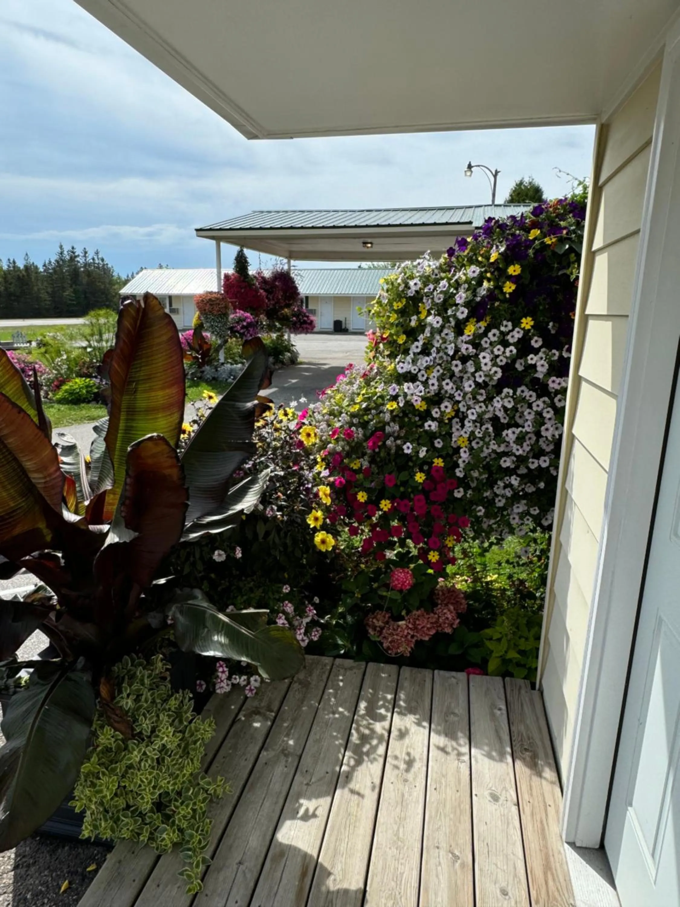 Sunset Motel at Armand's Gardens