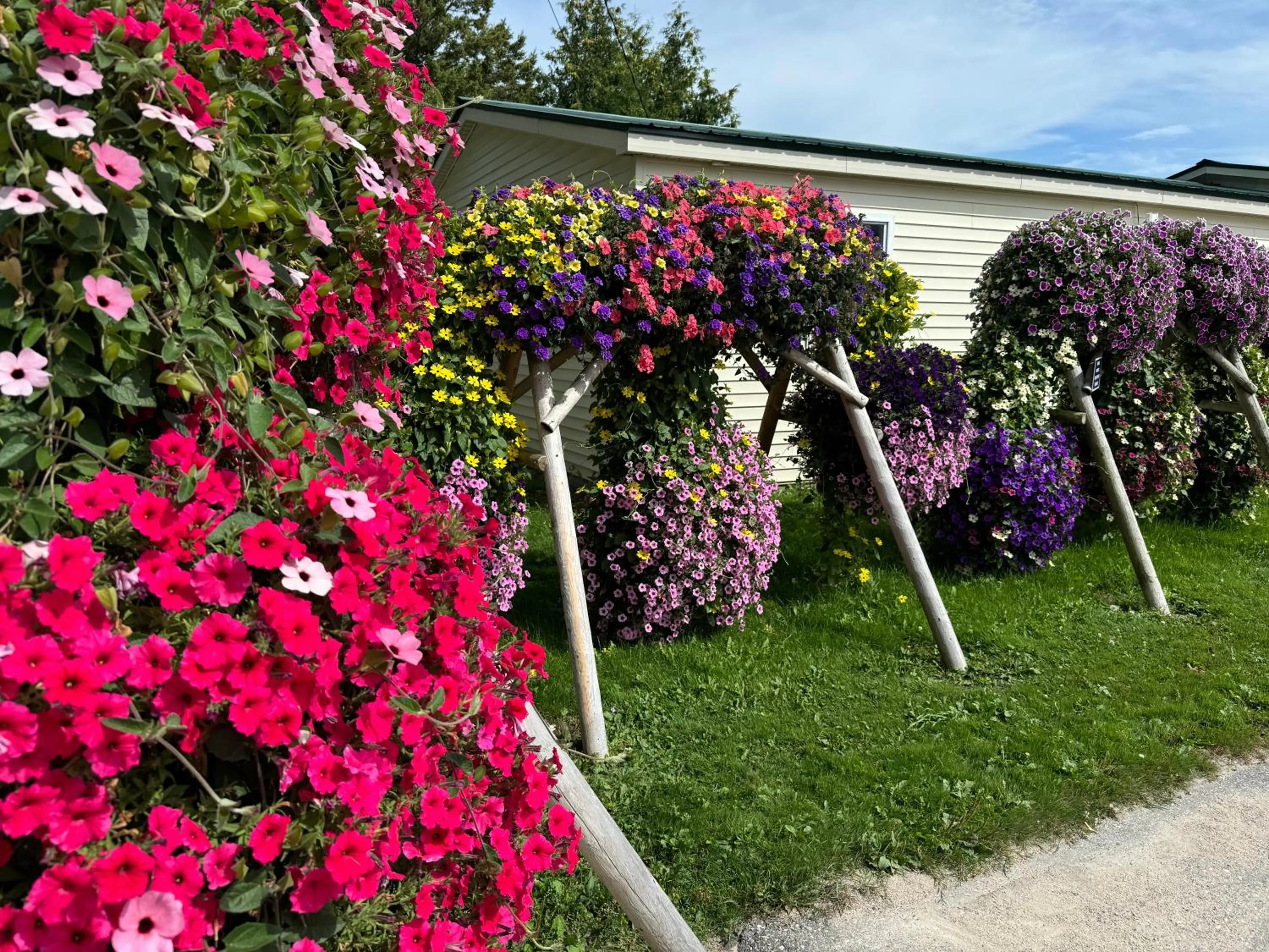 Sunset Motel at Armand's Gardens