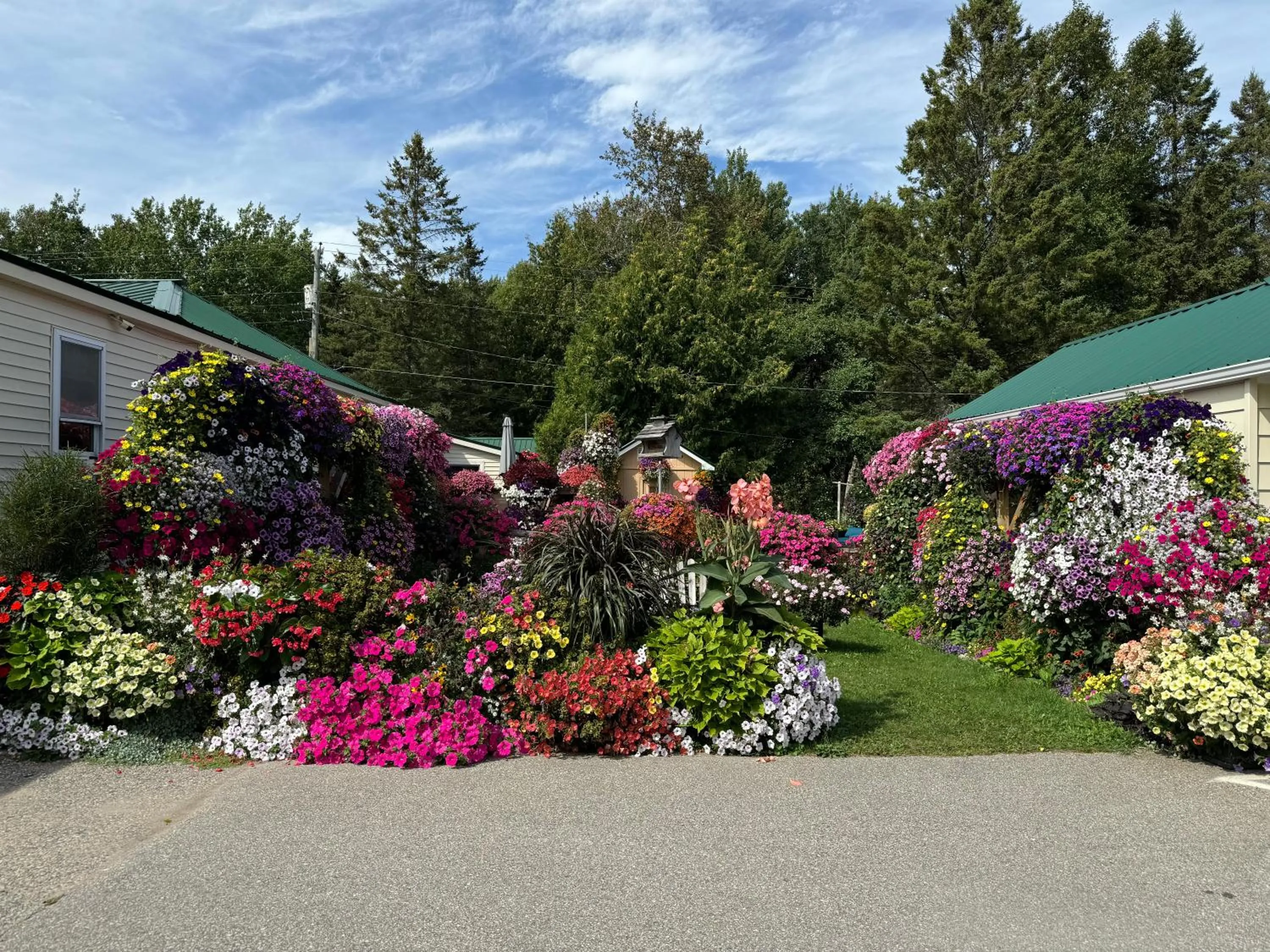 Sunset Motel at Armand's Gardens