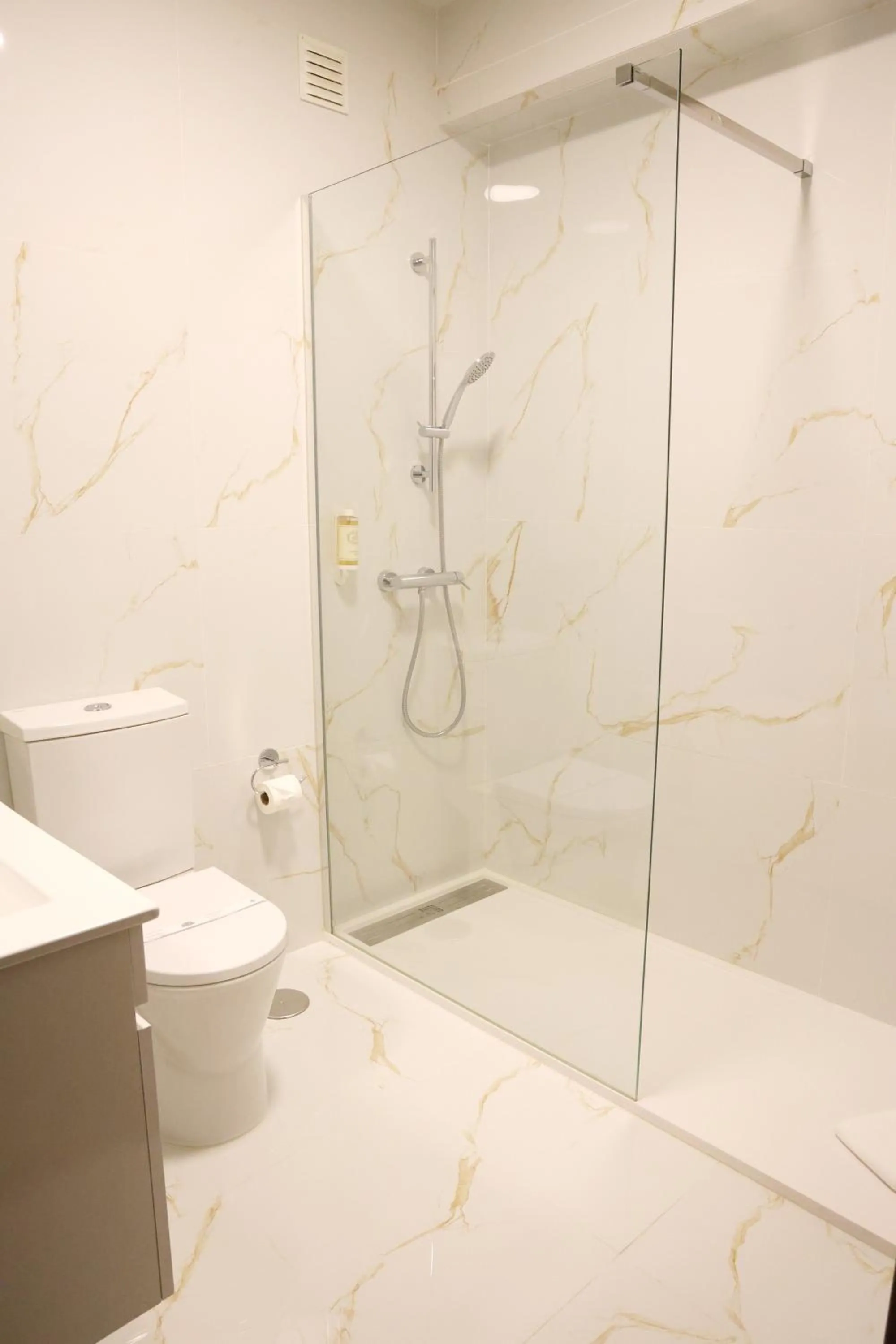 Shower in Hotel Ribadouro