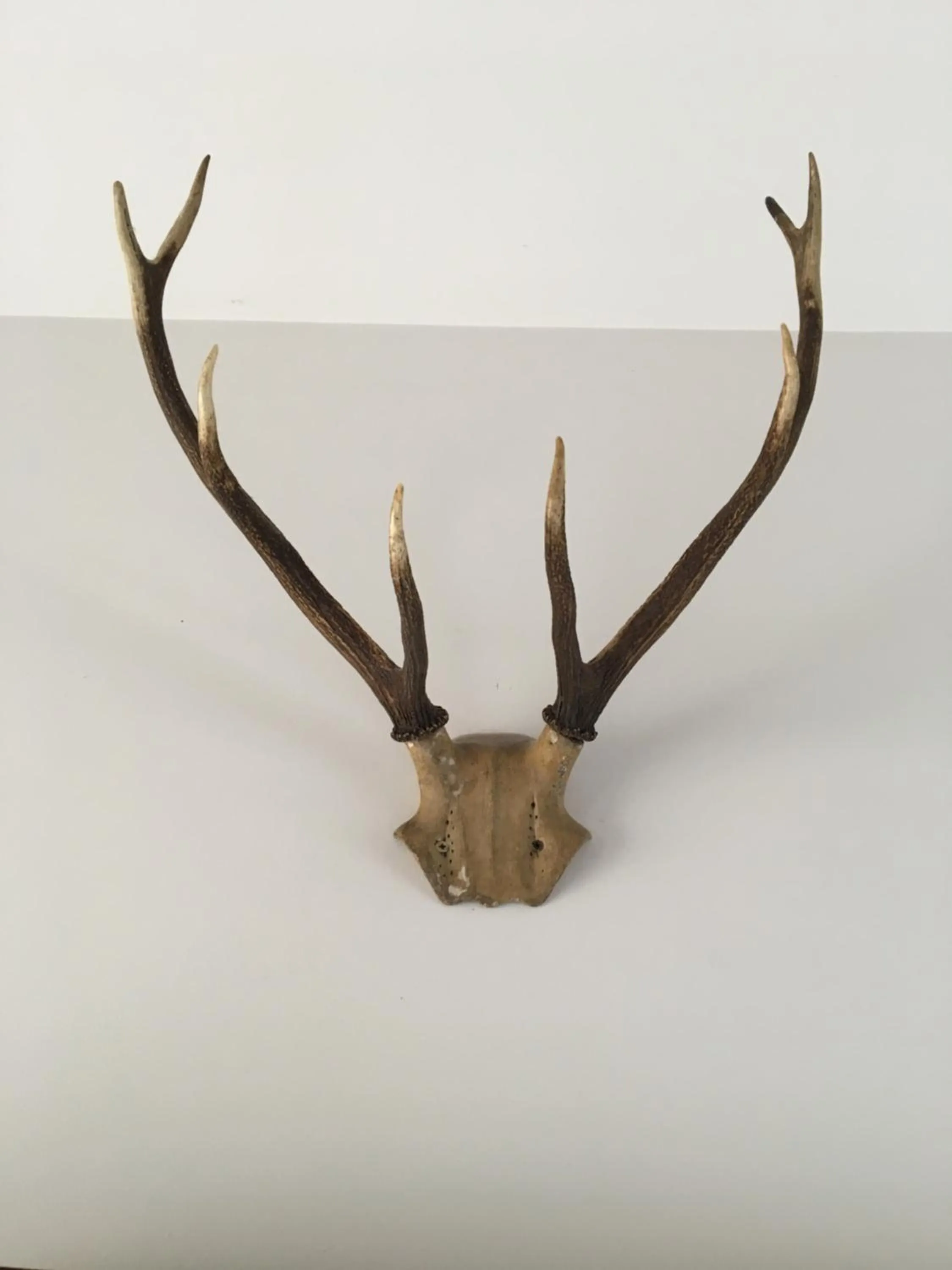 Decorative detail in Bridleway Bed & Breakfast