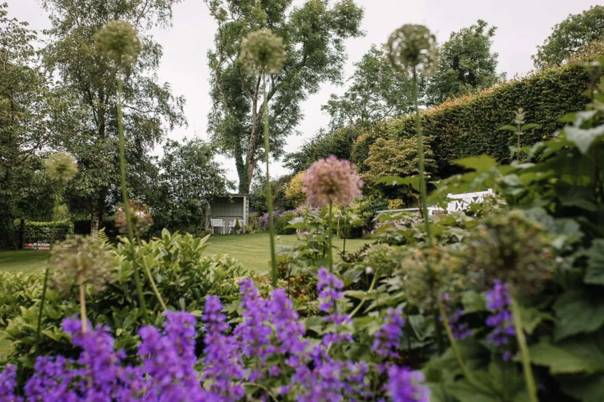 Garden in Bay Tree Cottage