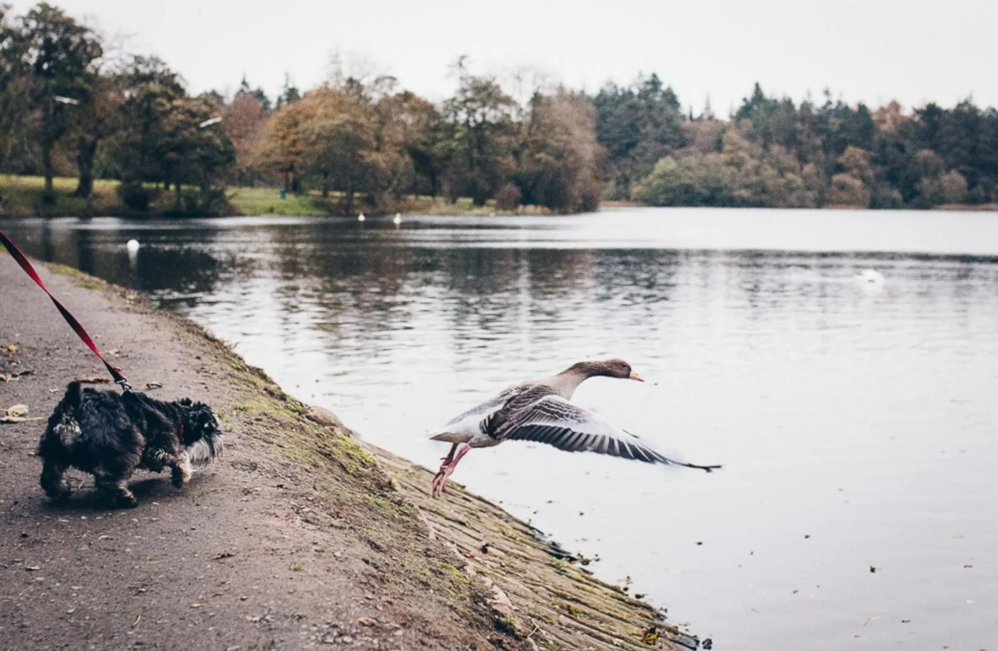 Property building in Bay Tree Cottage