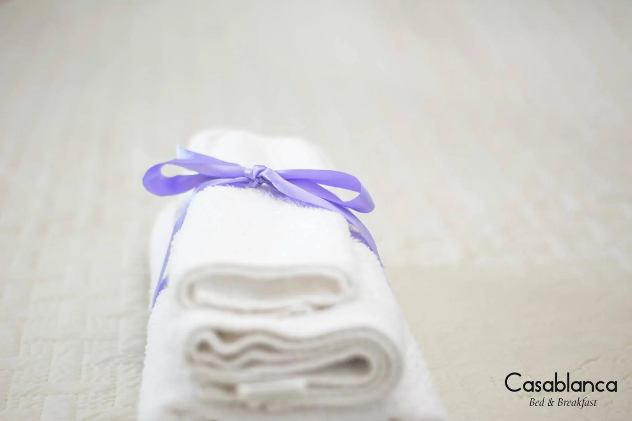 Area and facilities in Casablanca Bed & Breakfast