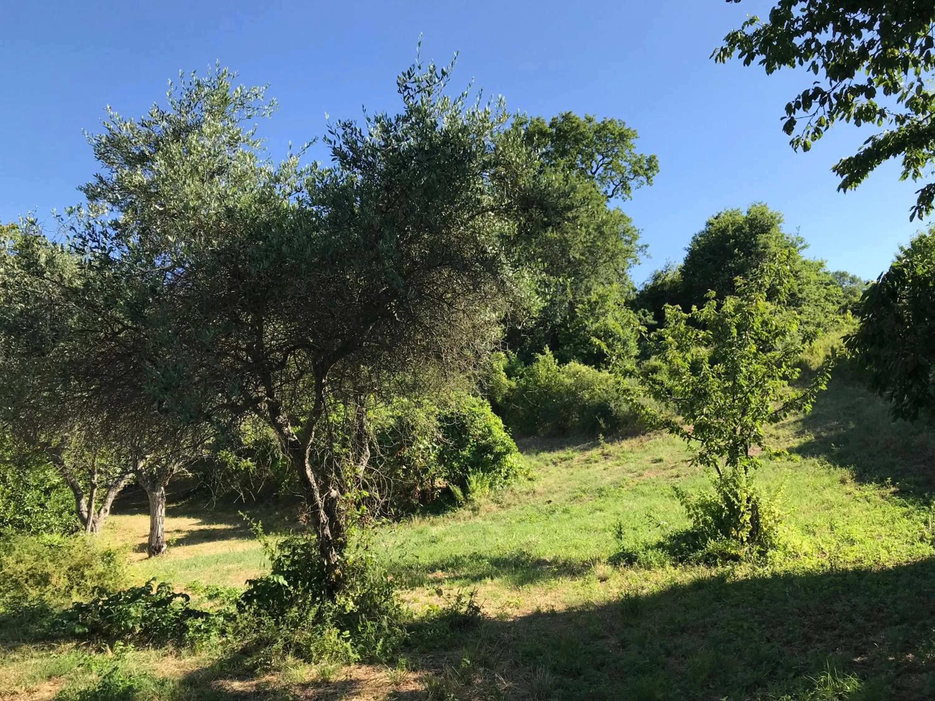 Garden in Agriturismo Ca' Poldo
