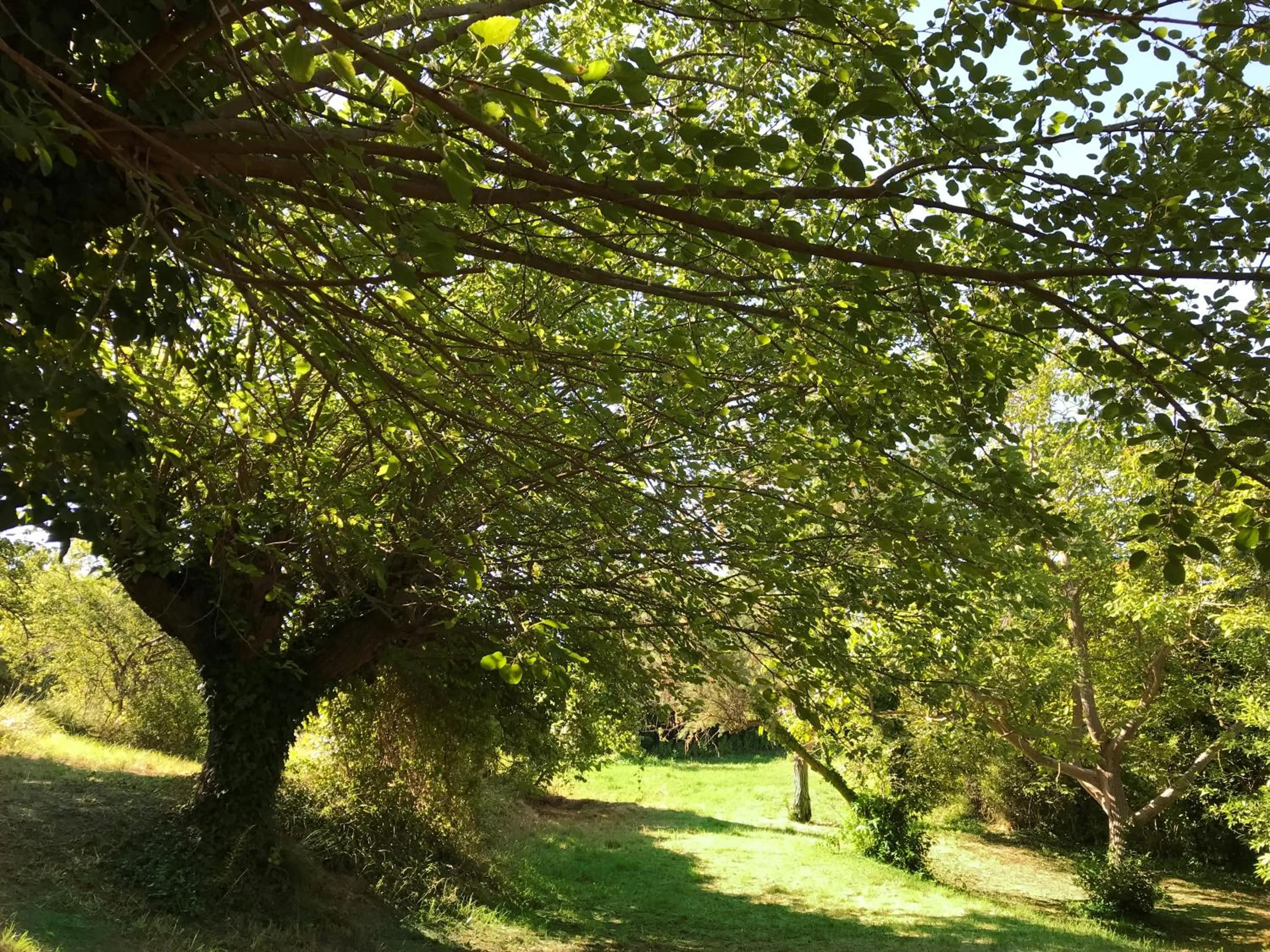 Garden in Agriturismo Ca' Poldo