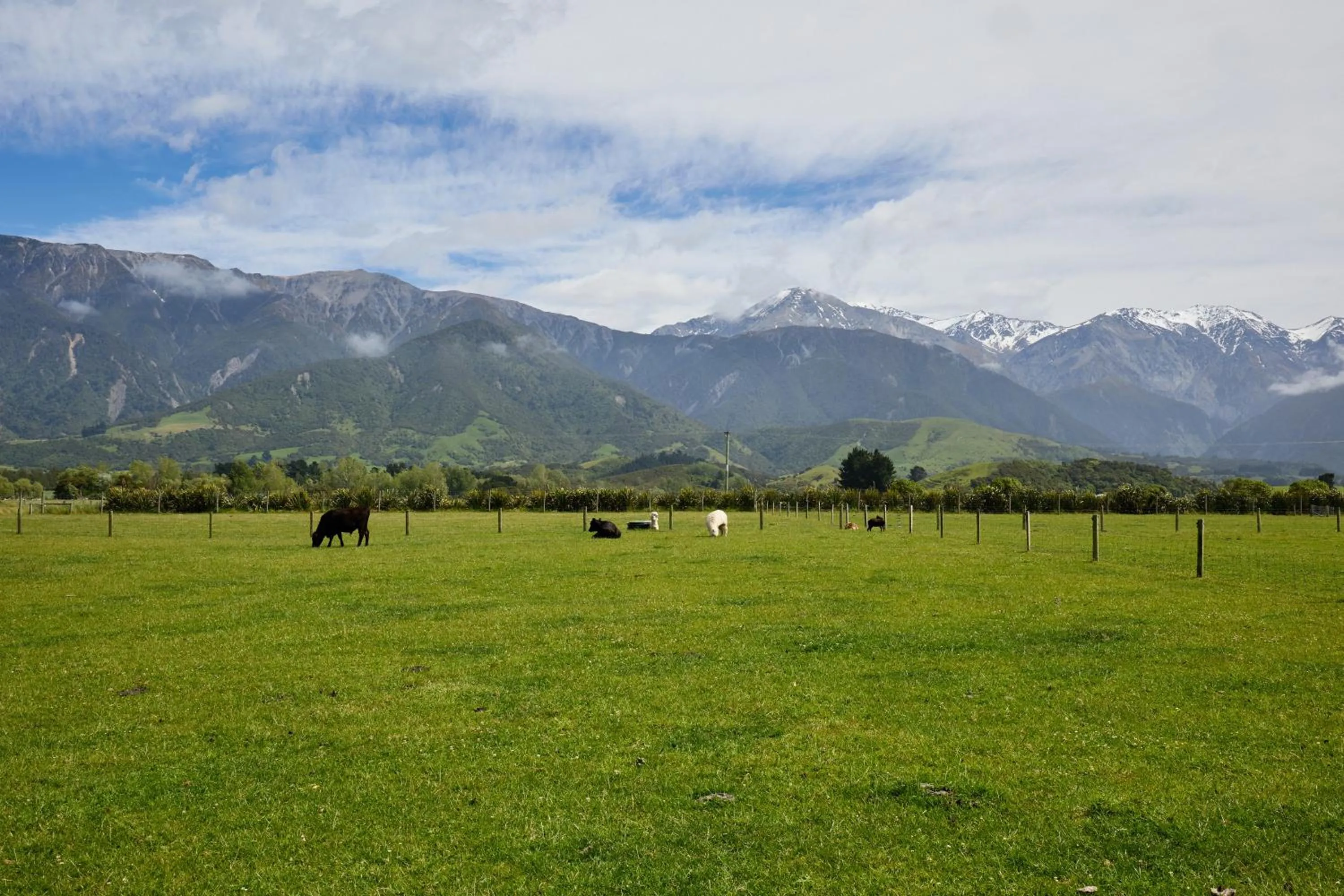 Day in Awatea Country Bed & Breakfast