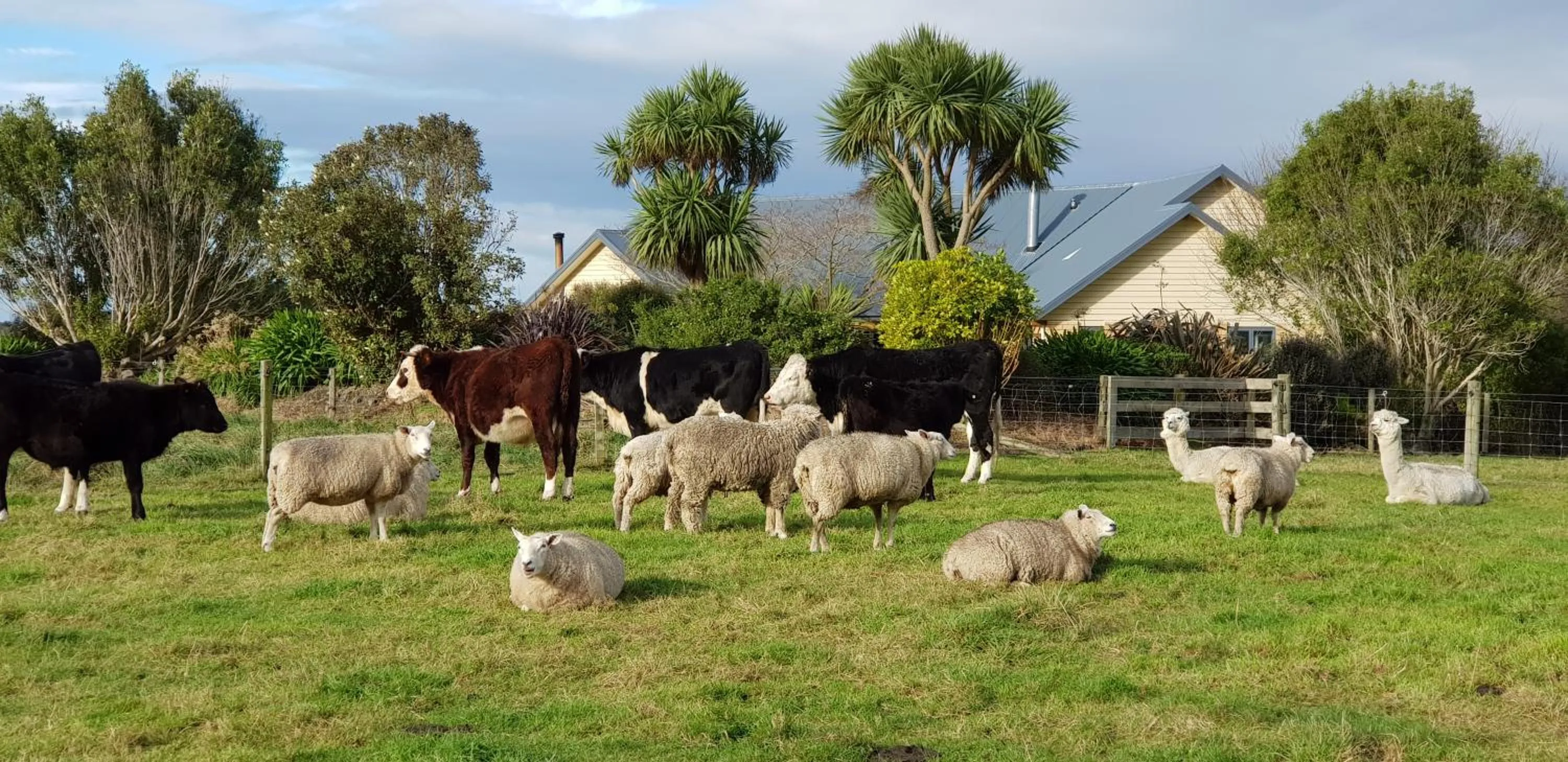 Property building in Awatea Country Bed & Breakfast