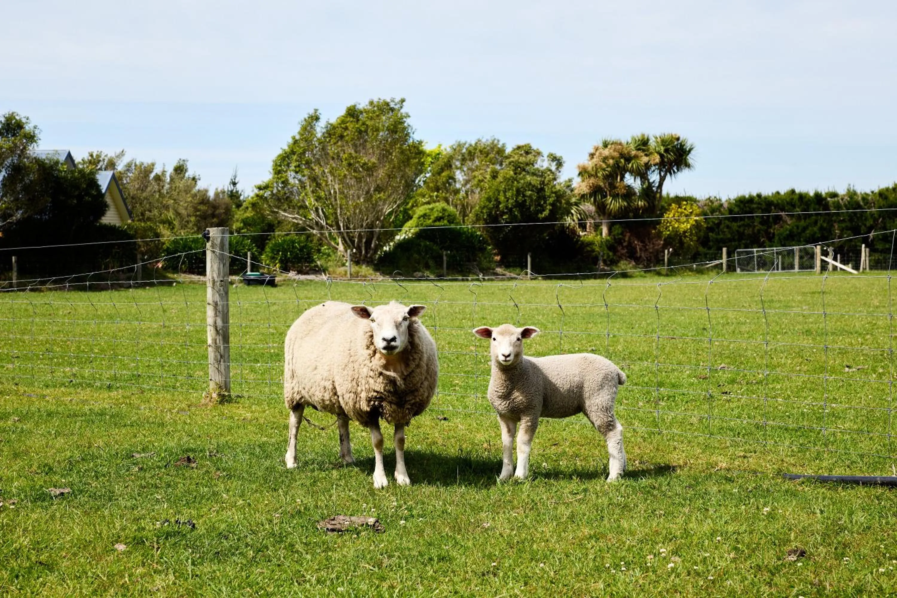 Property building in Awatea Country Bed & Breakfast