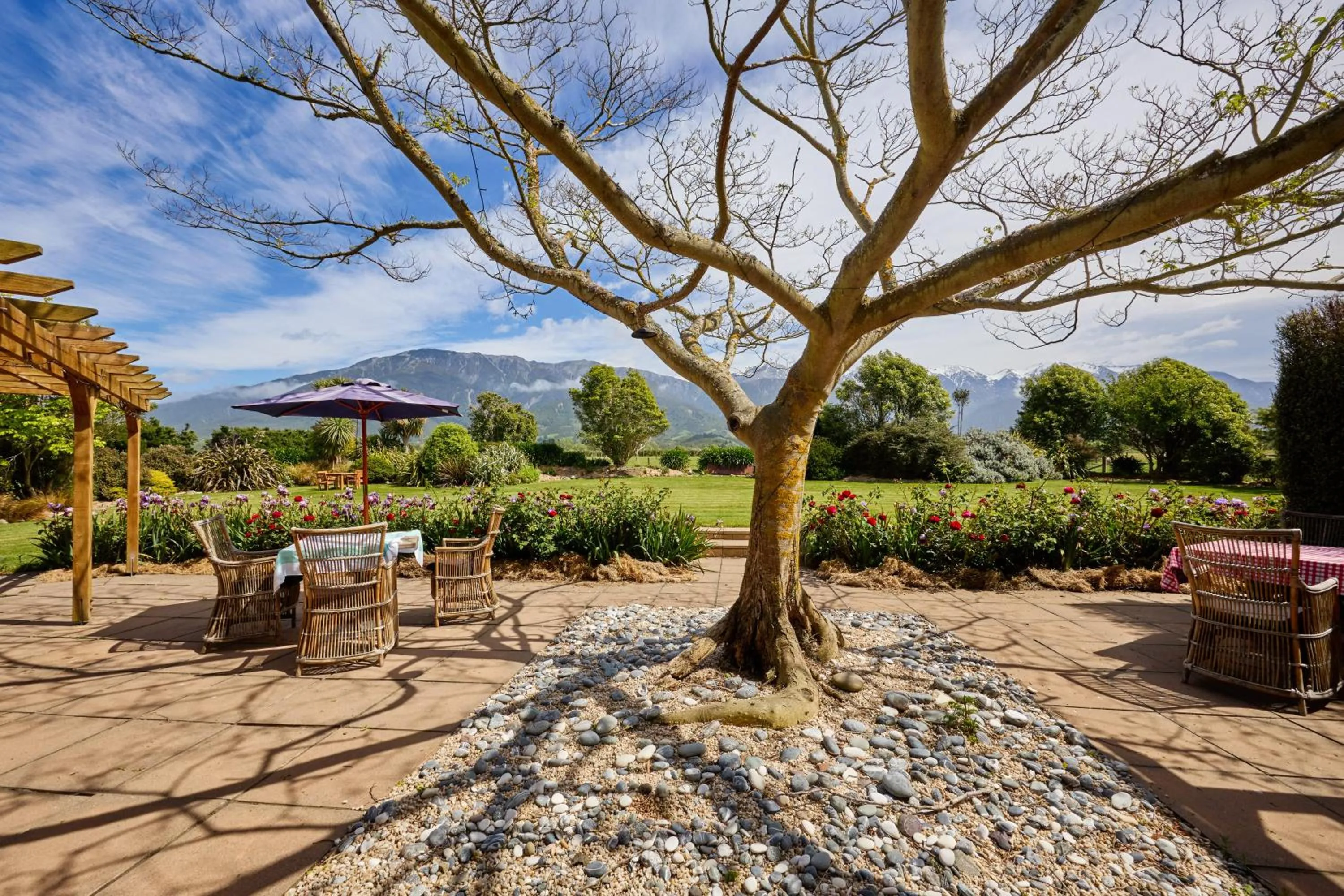 Natural landscape in Awatea Country Bed & Breakfast