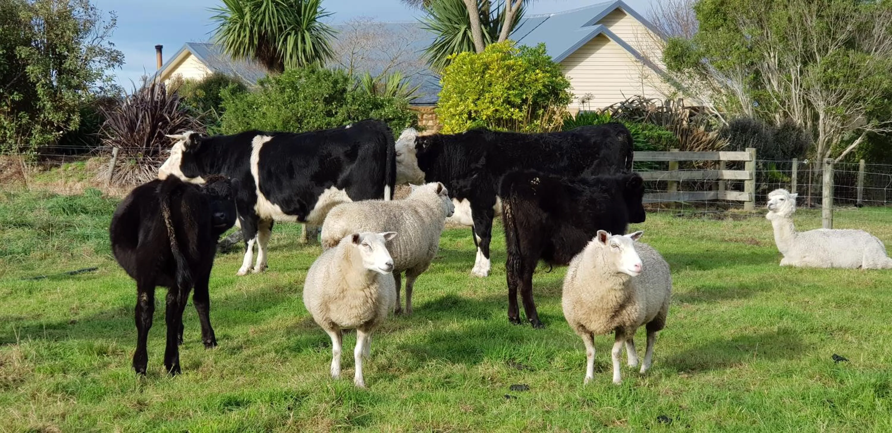 Property building in Awatea Country Bed & Breakfast