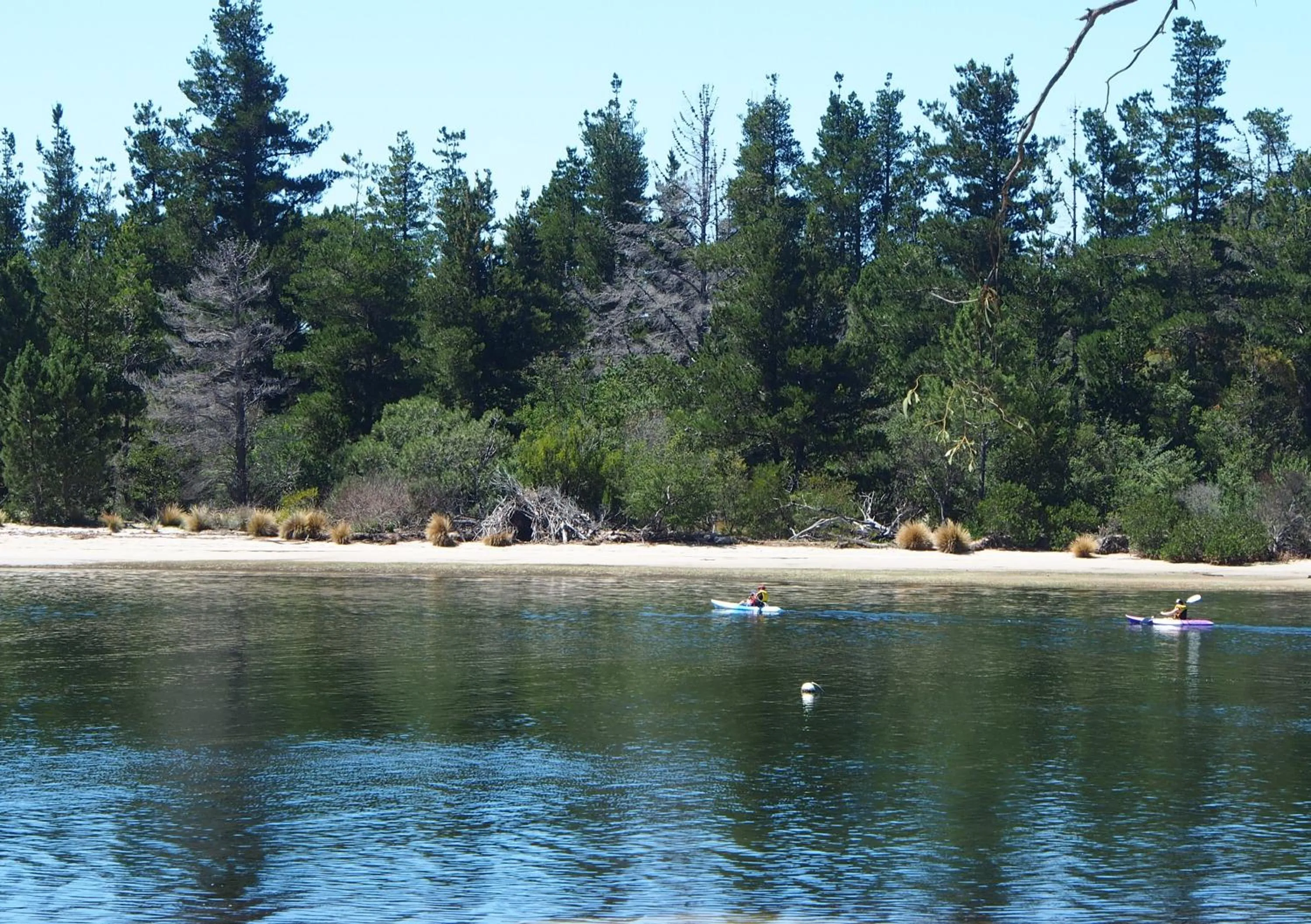 Natural landscape in Orford Blue Waters Hotel