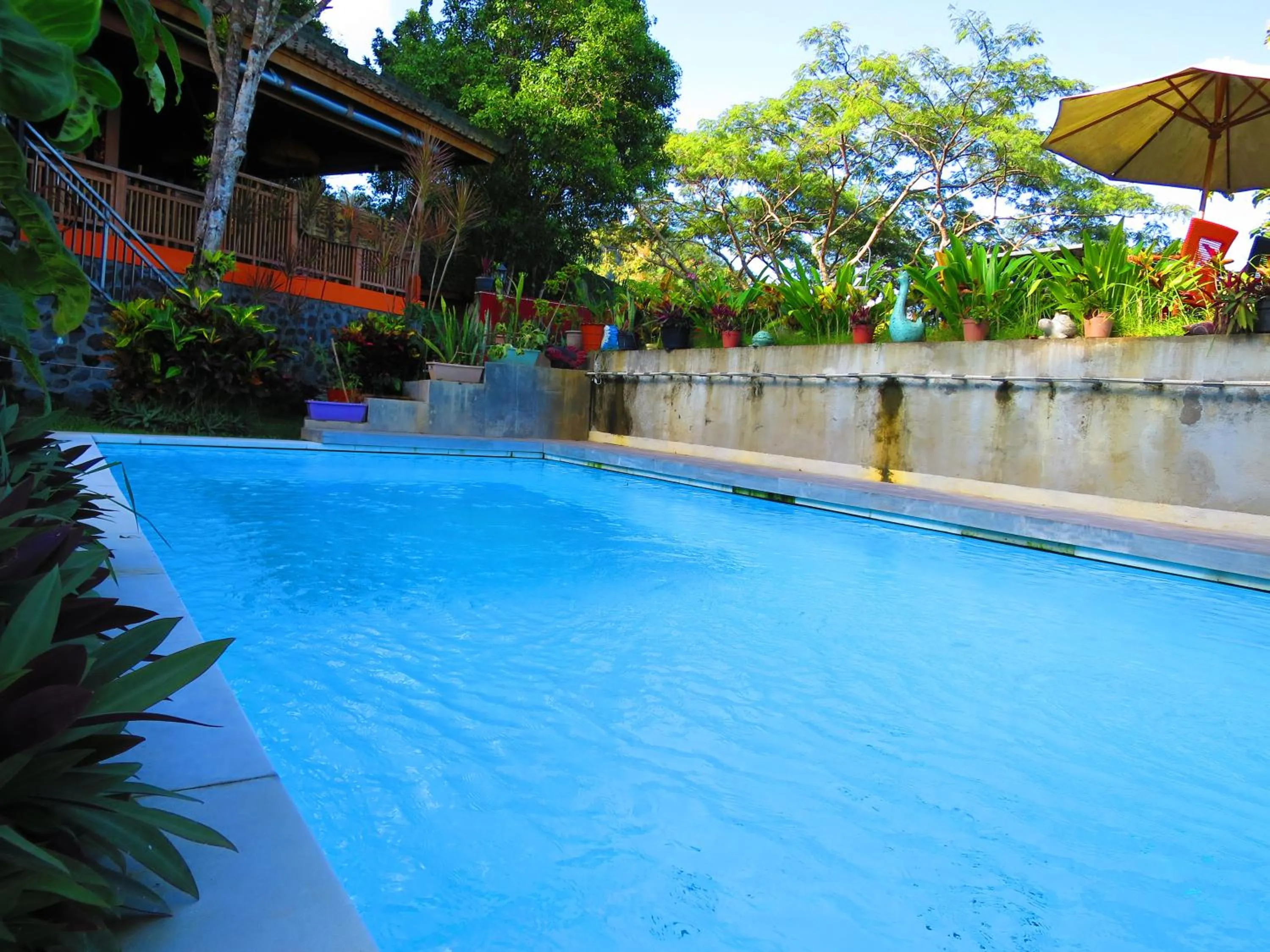 Swimming pool in Manggis Garden Dive Resort