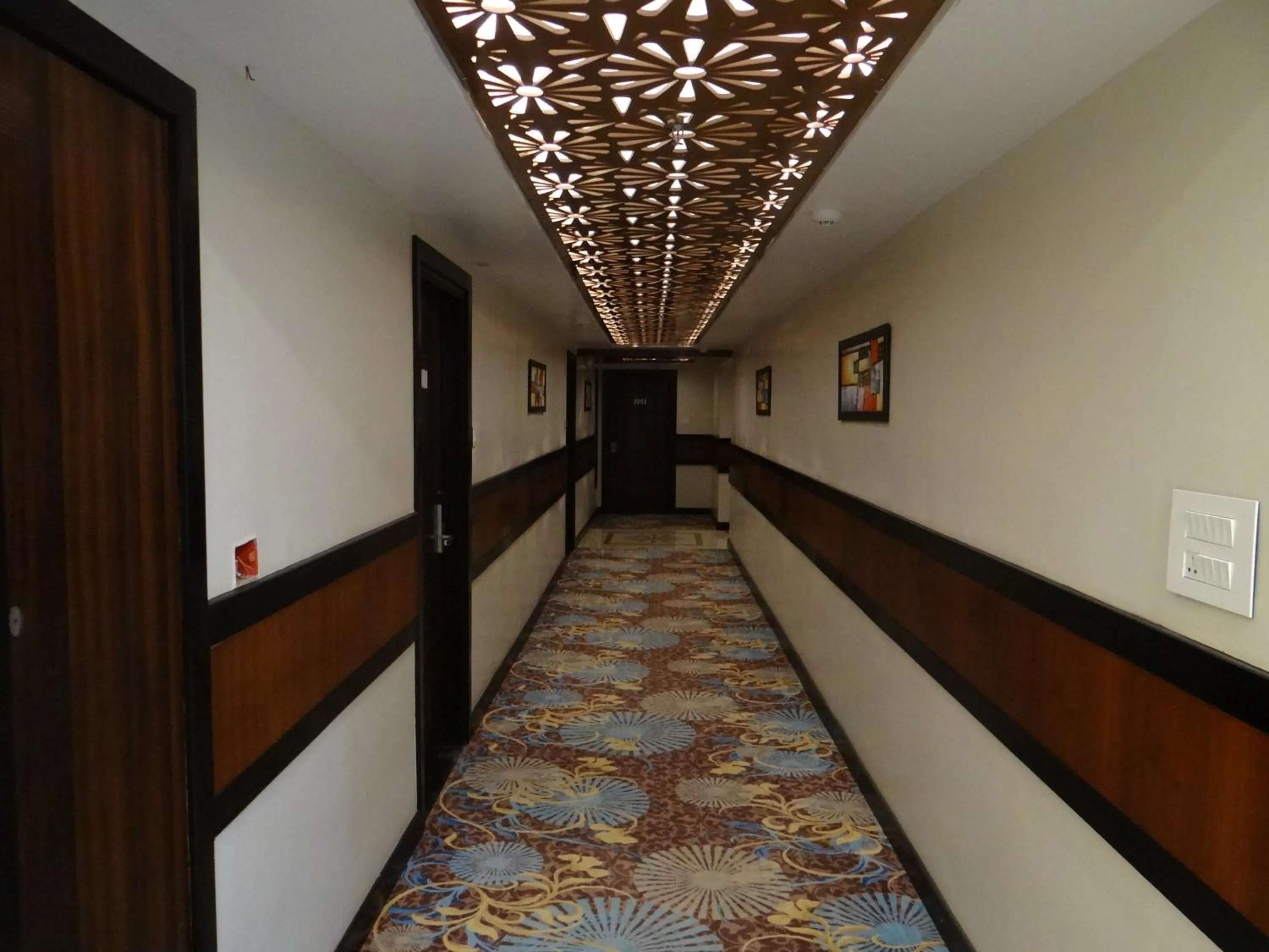 Area and facilities in Hotel Tridev