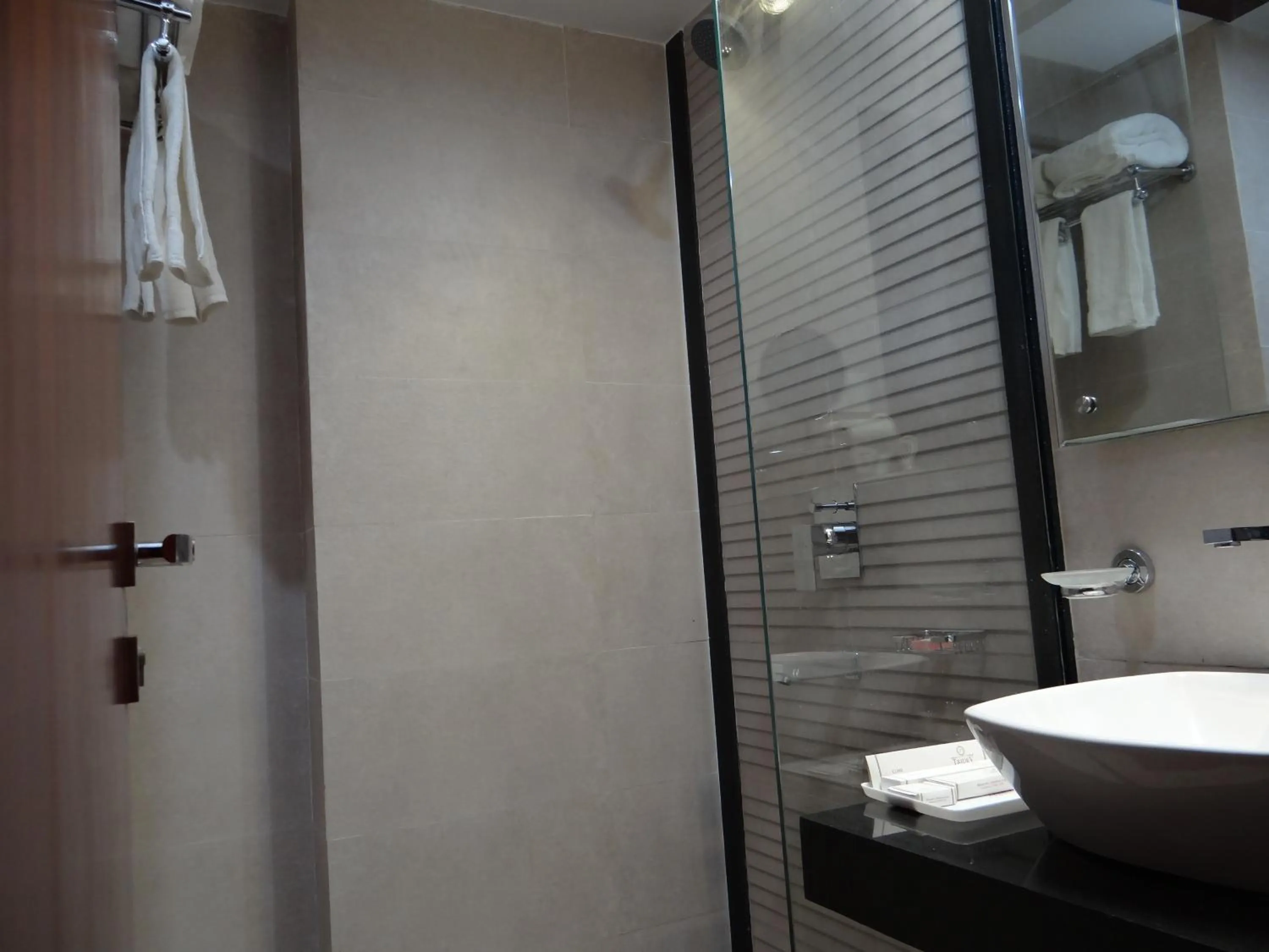 Shower in Hotel Tridev