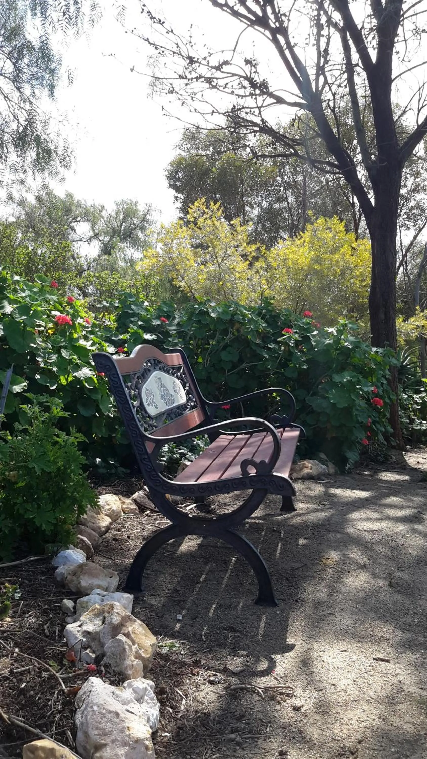 Garden in A La Folly The Retreat