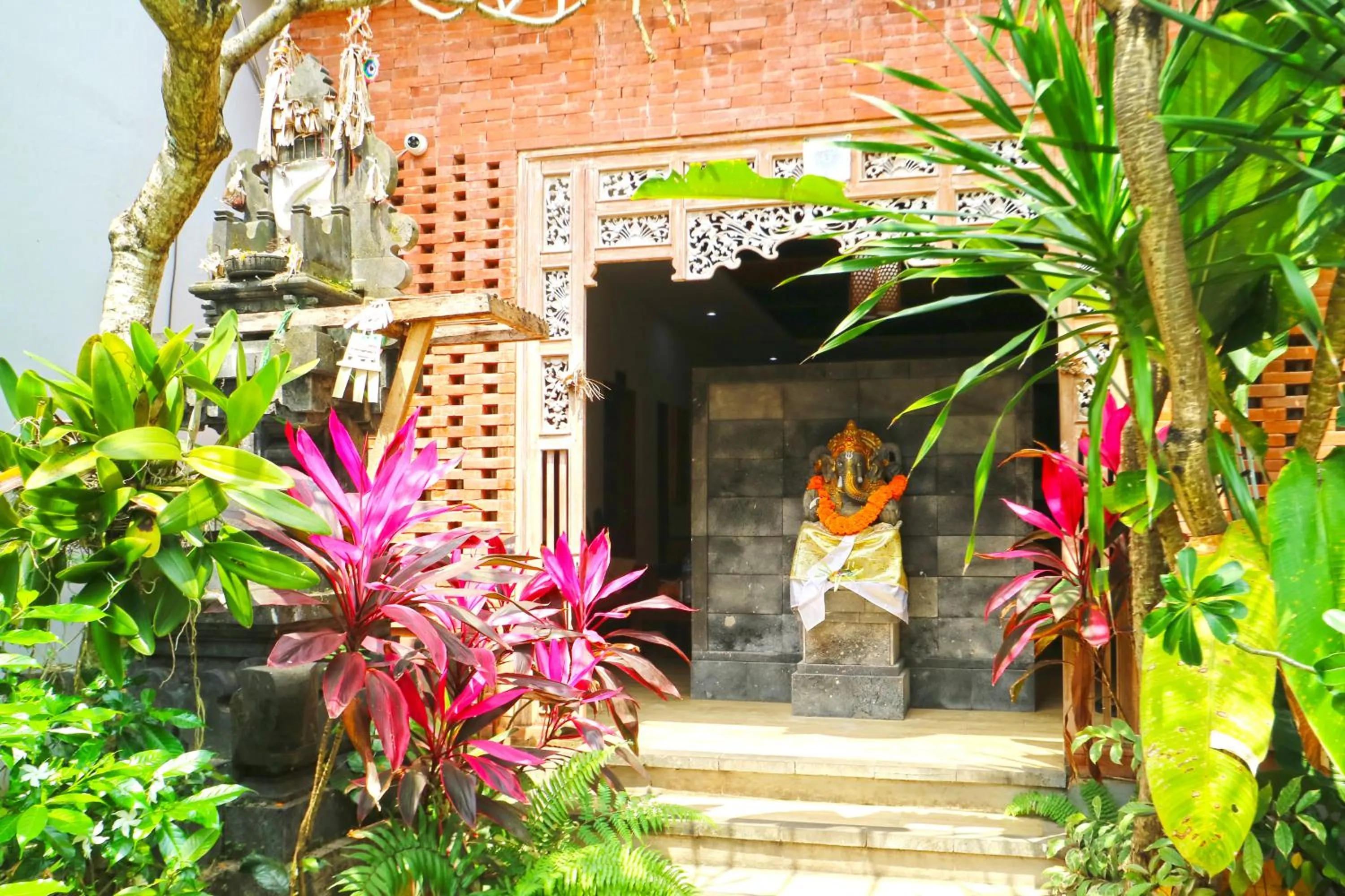 Natural landscape in New Ubud Hostel