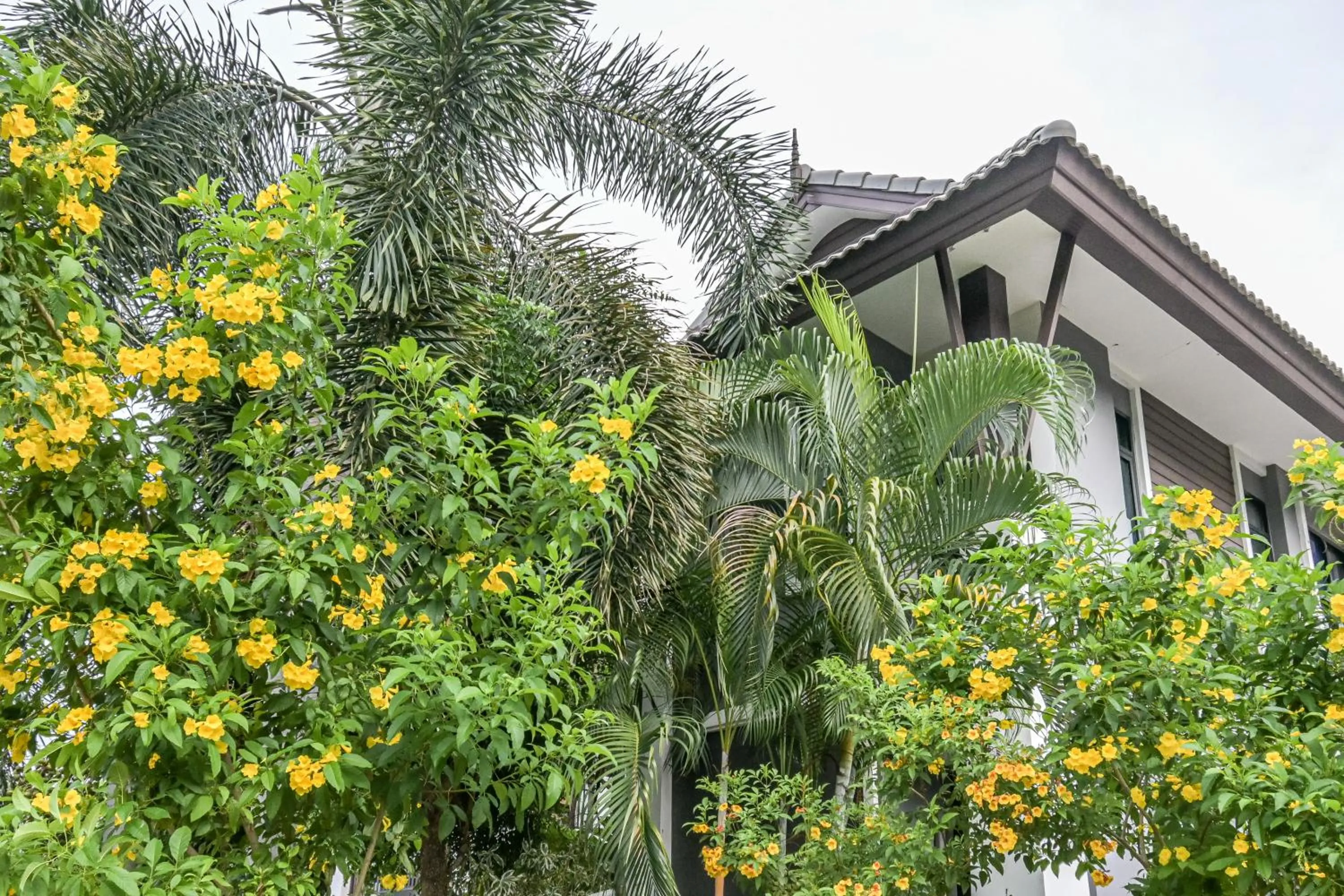 Property building in Baan Kieng Tawan