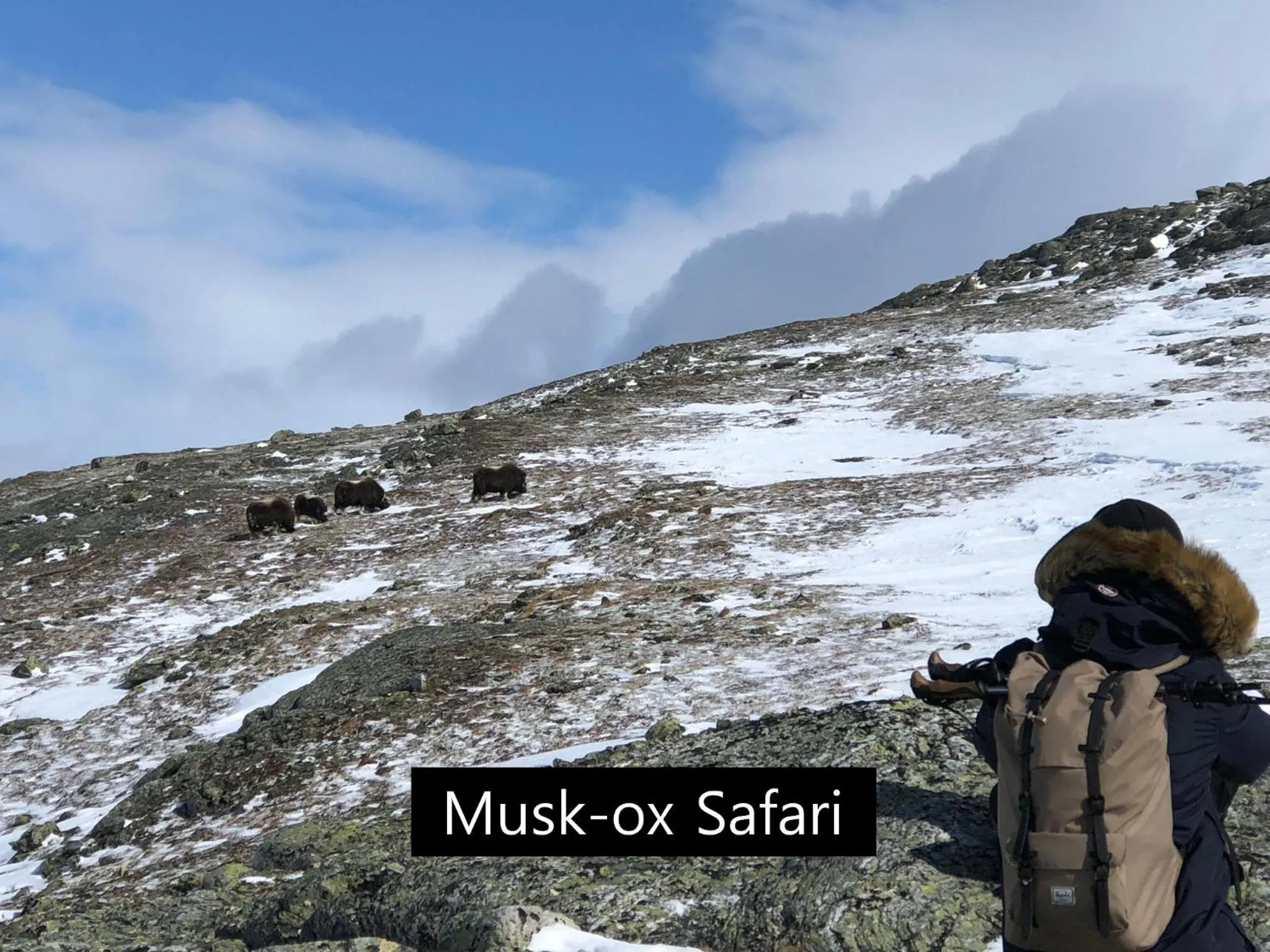 Activities in Dovregubbens Hall