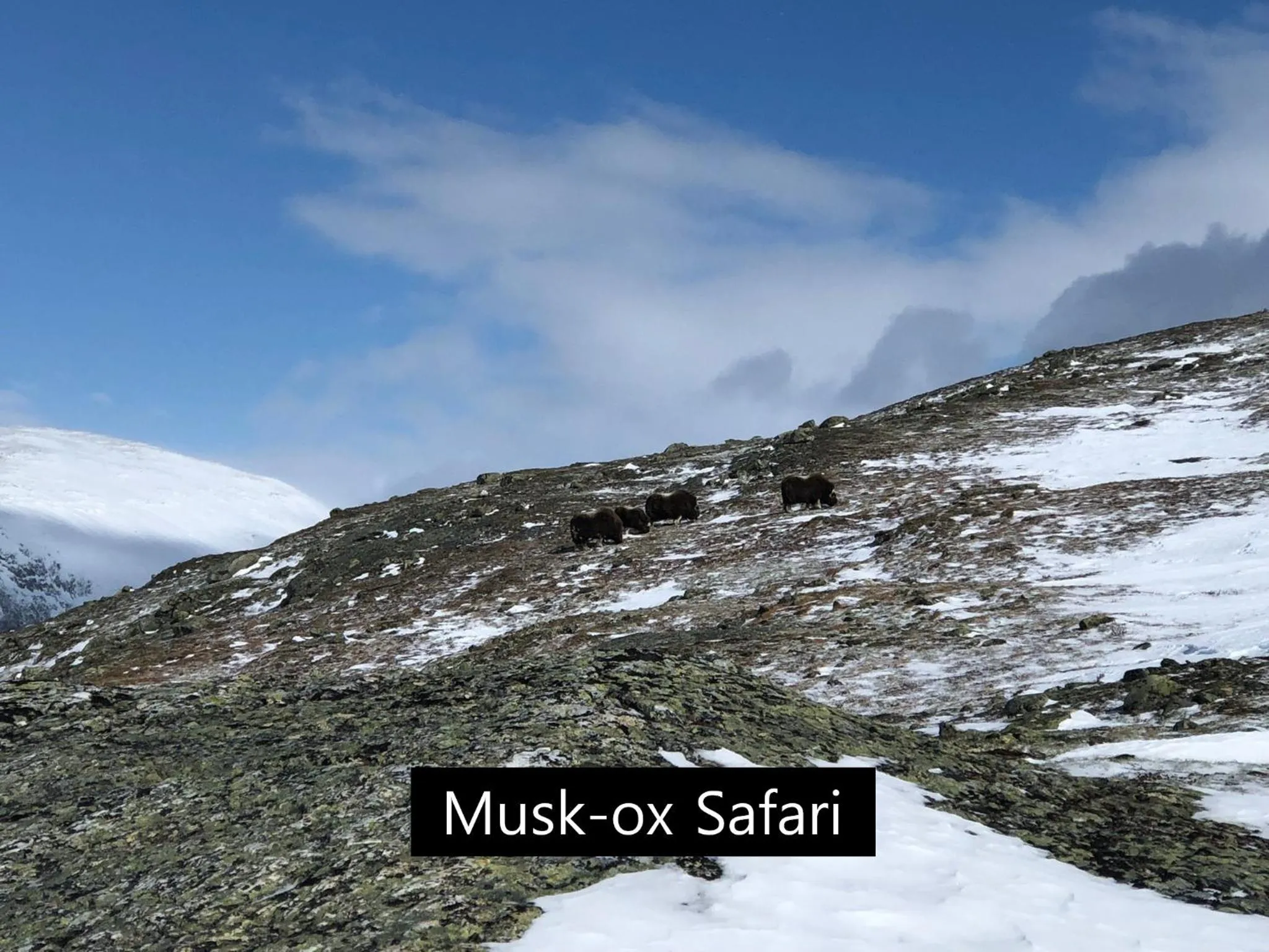 Activities in Dovregubbens Hall