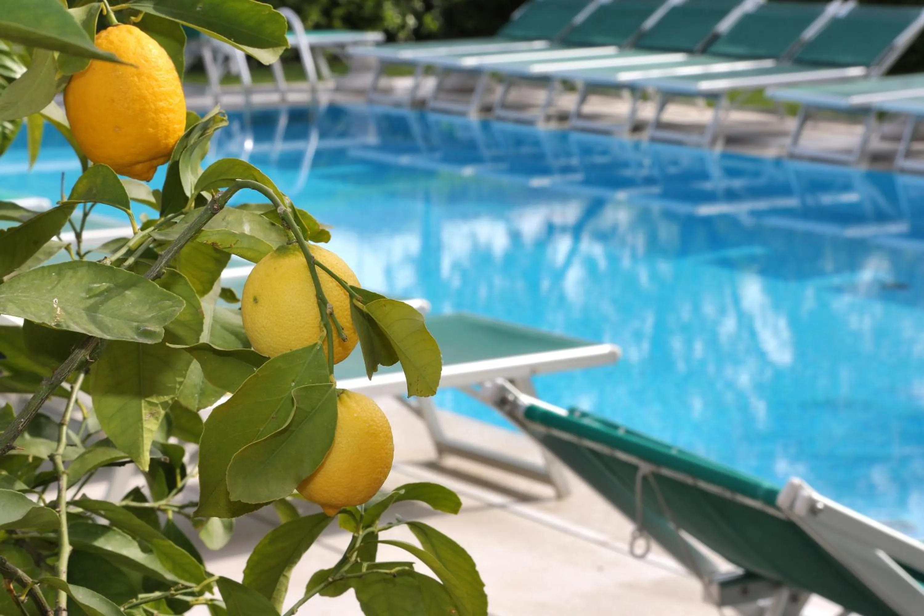 Swimming pool in Hotel Al Sole Bardolino