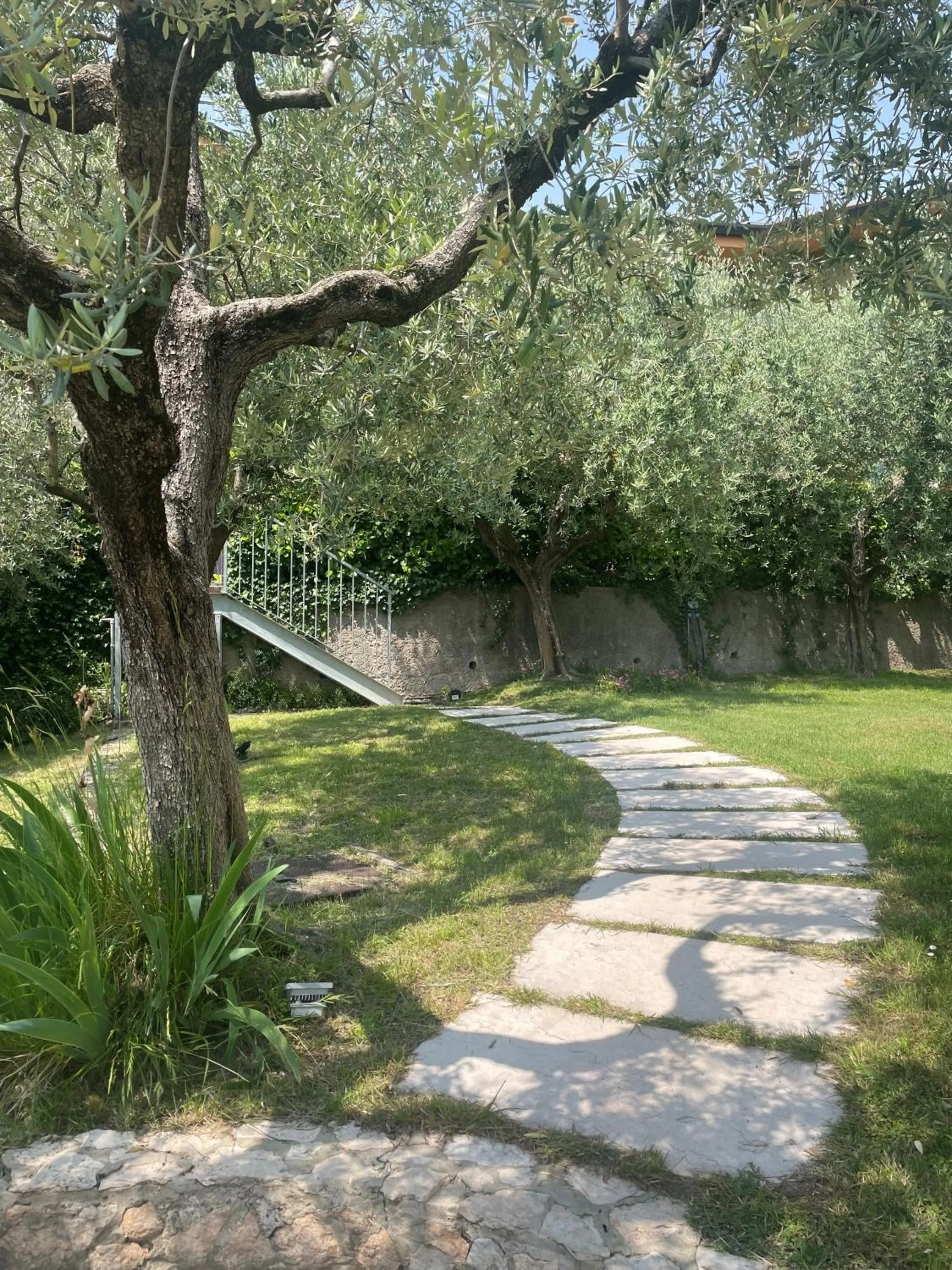 Garden in Hotel Al Sole Bardolino
