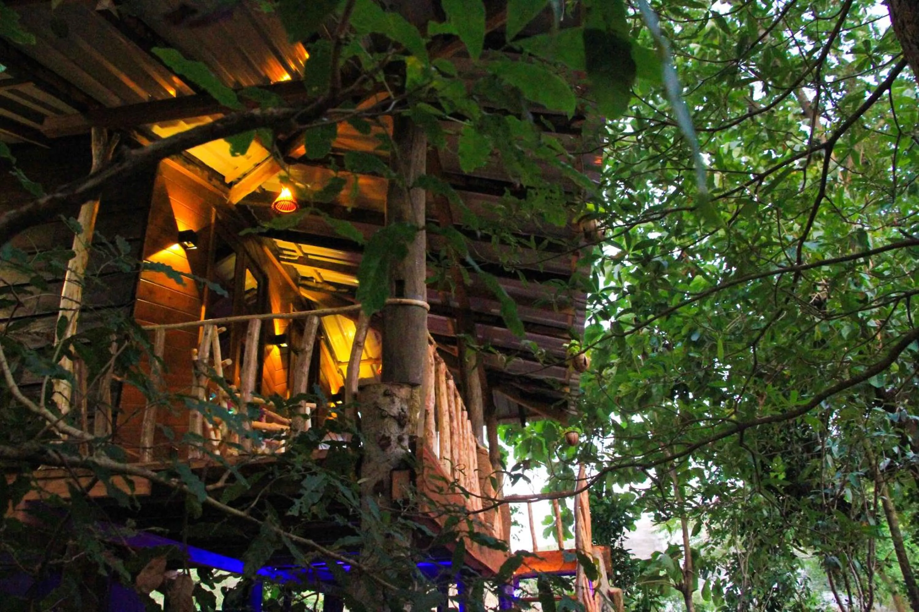Property building in girilena resort