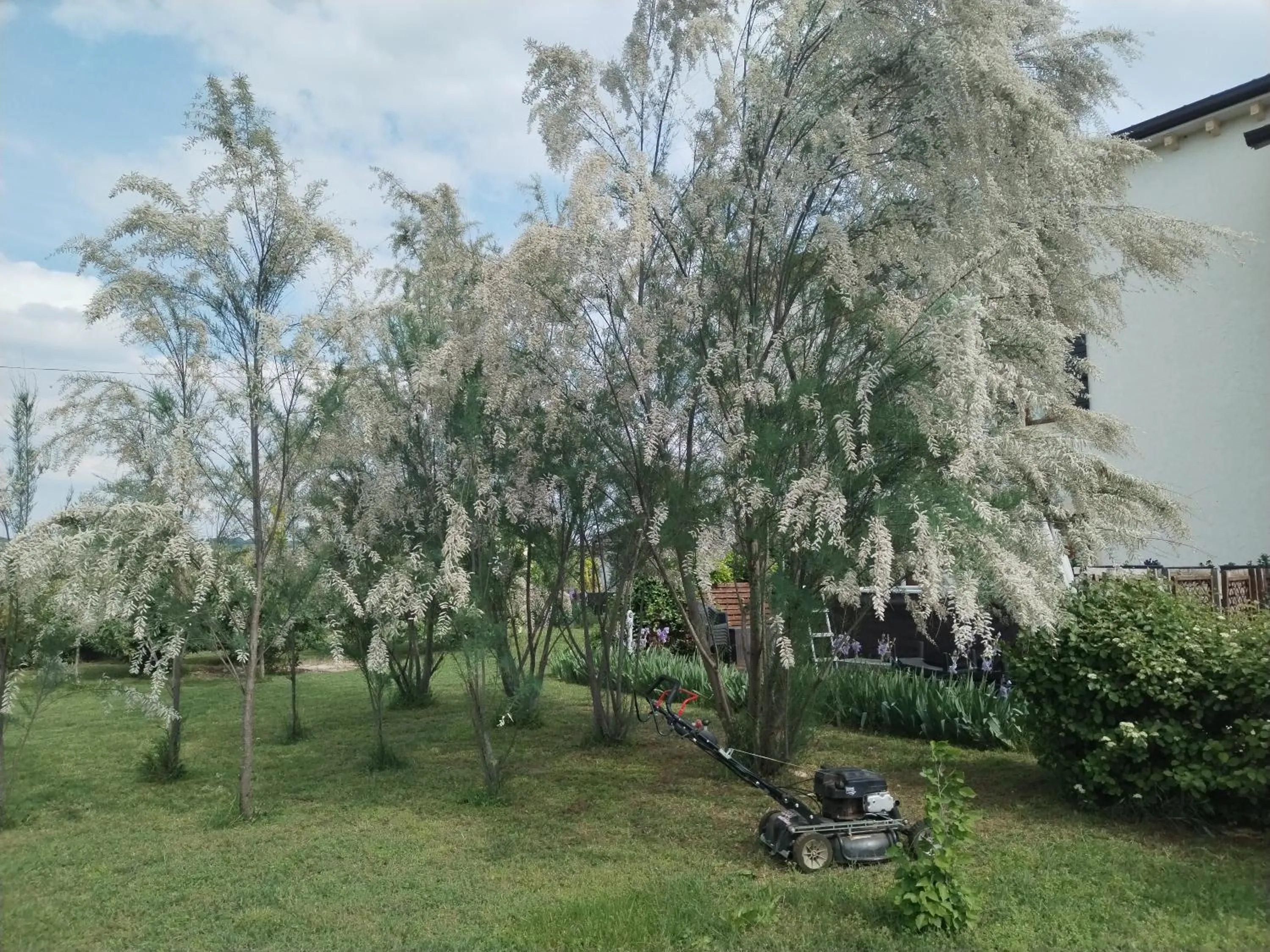 Natural landscape in Ca' Blanca