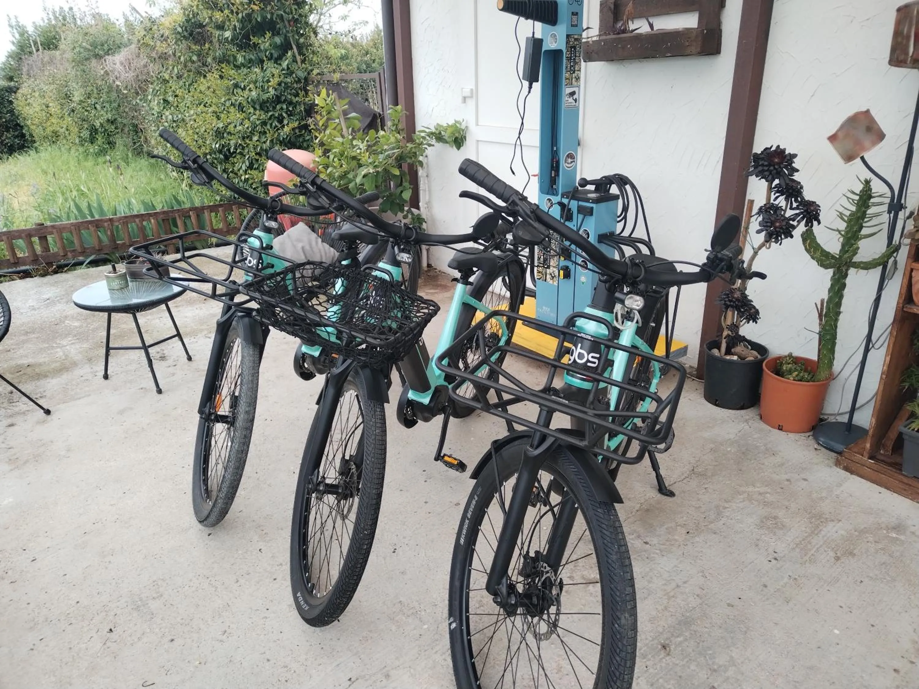 Garden in Ca' Blanca