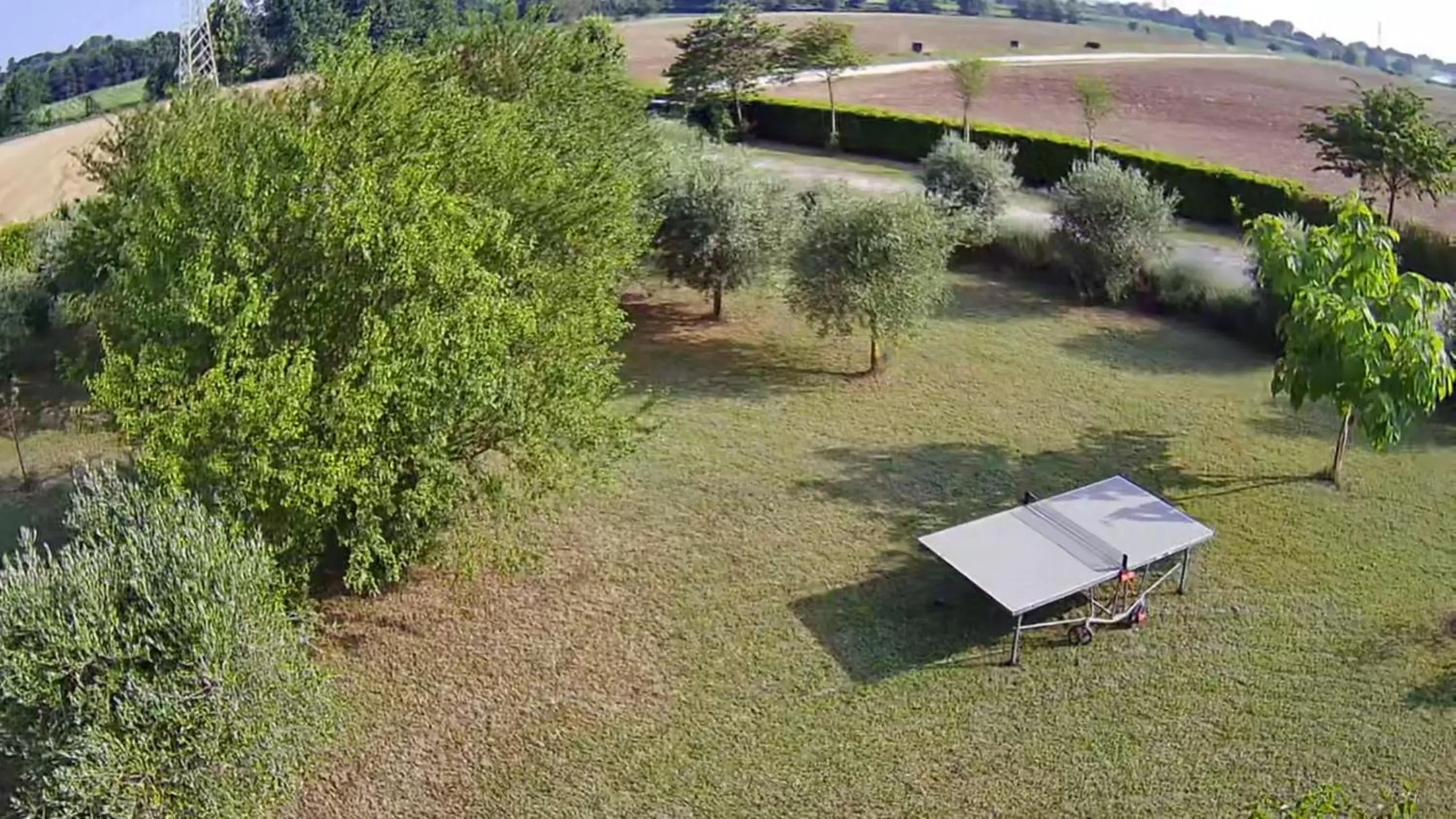 Garden in Ca' Blanca