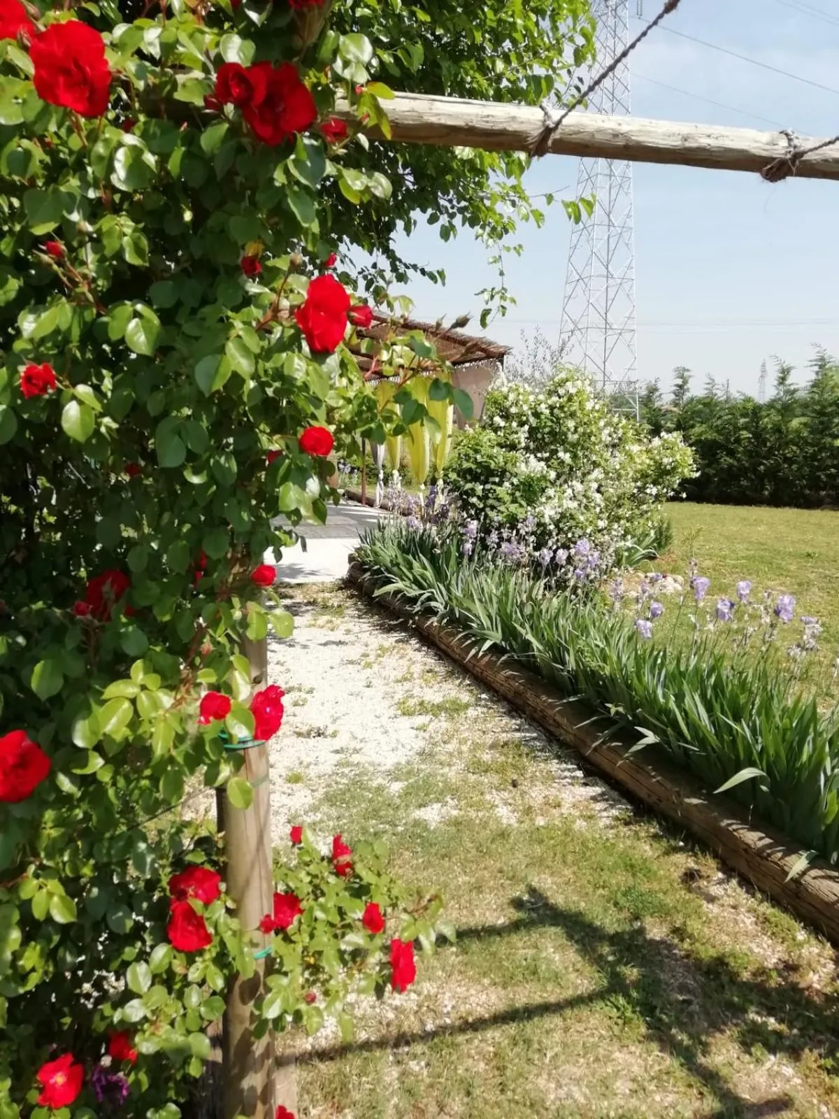 Garden in Ca' Blanca