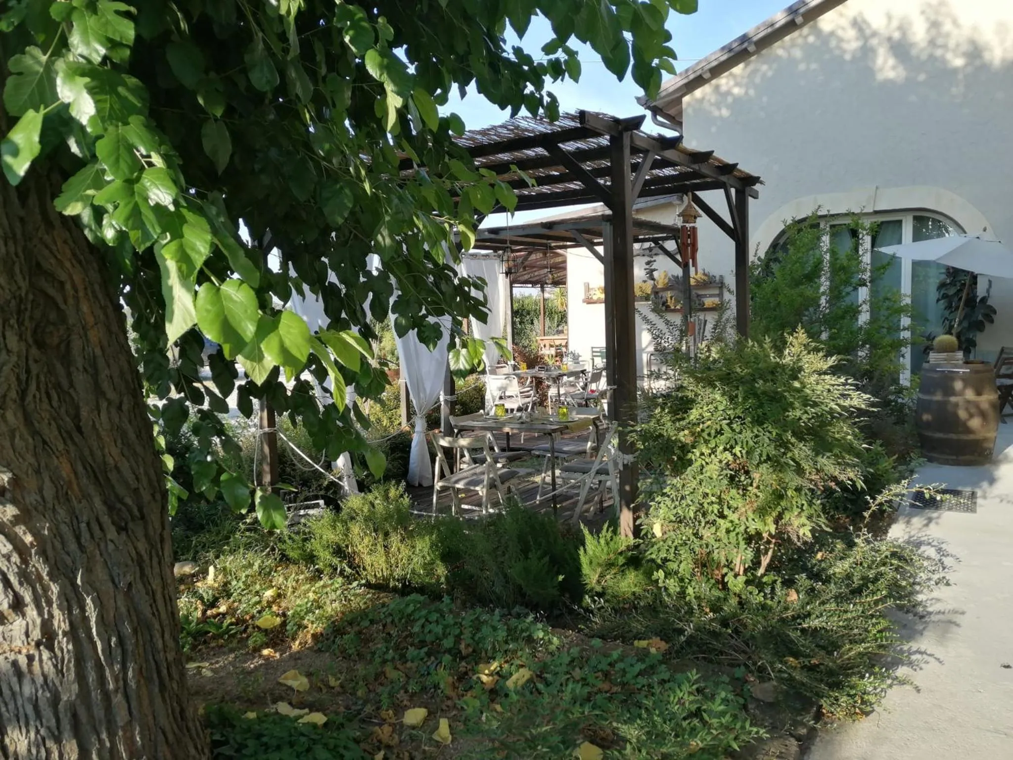 Garden in Ca' Blanca