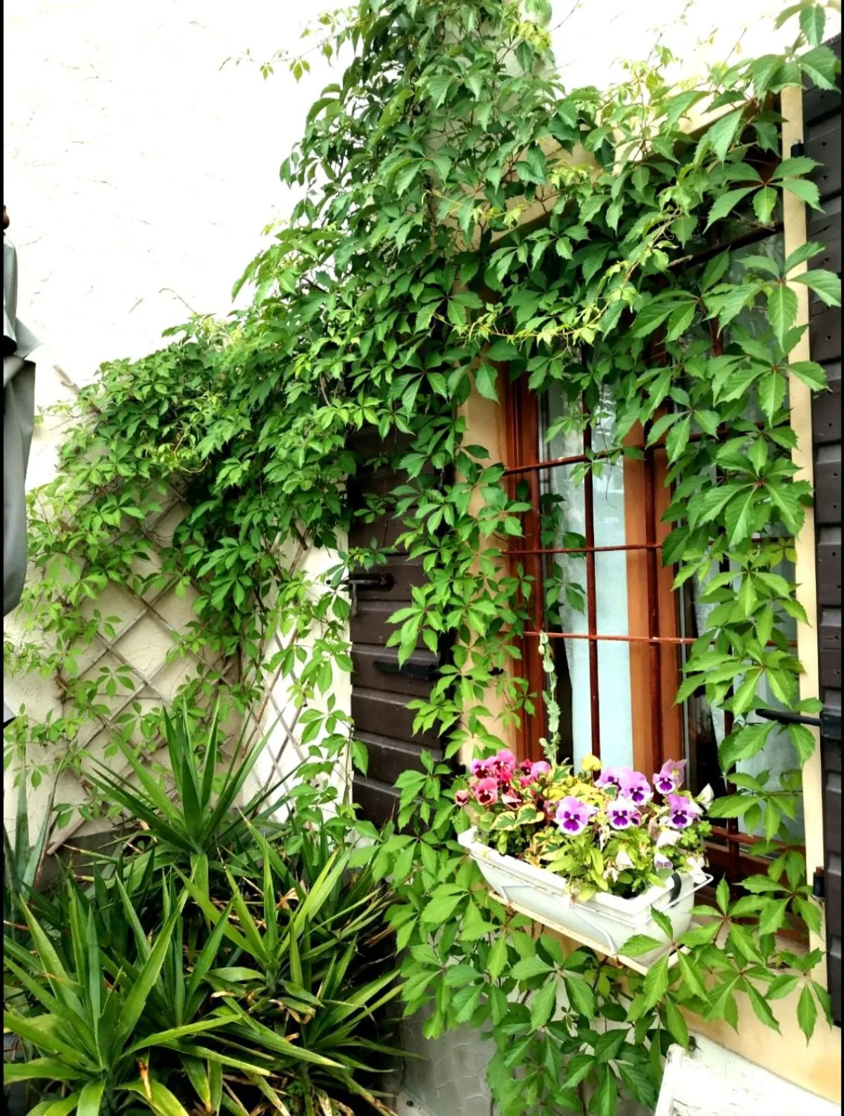 Floor plan in Ca' Blanca