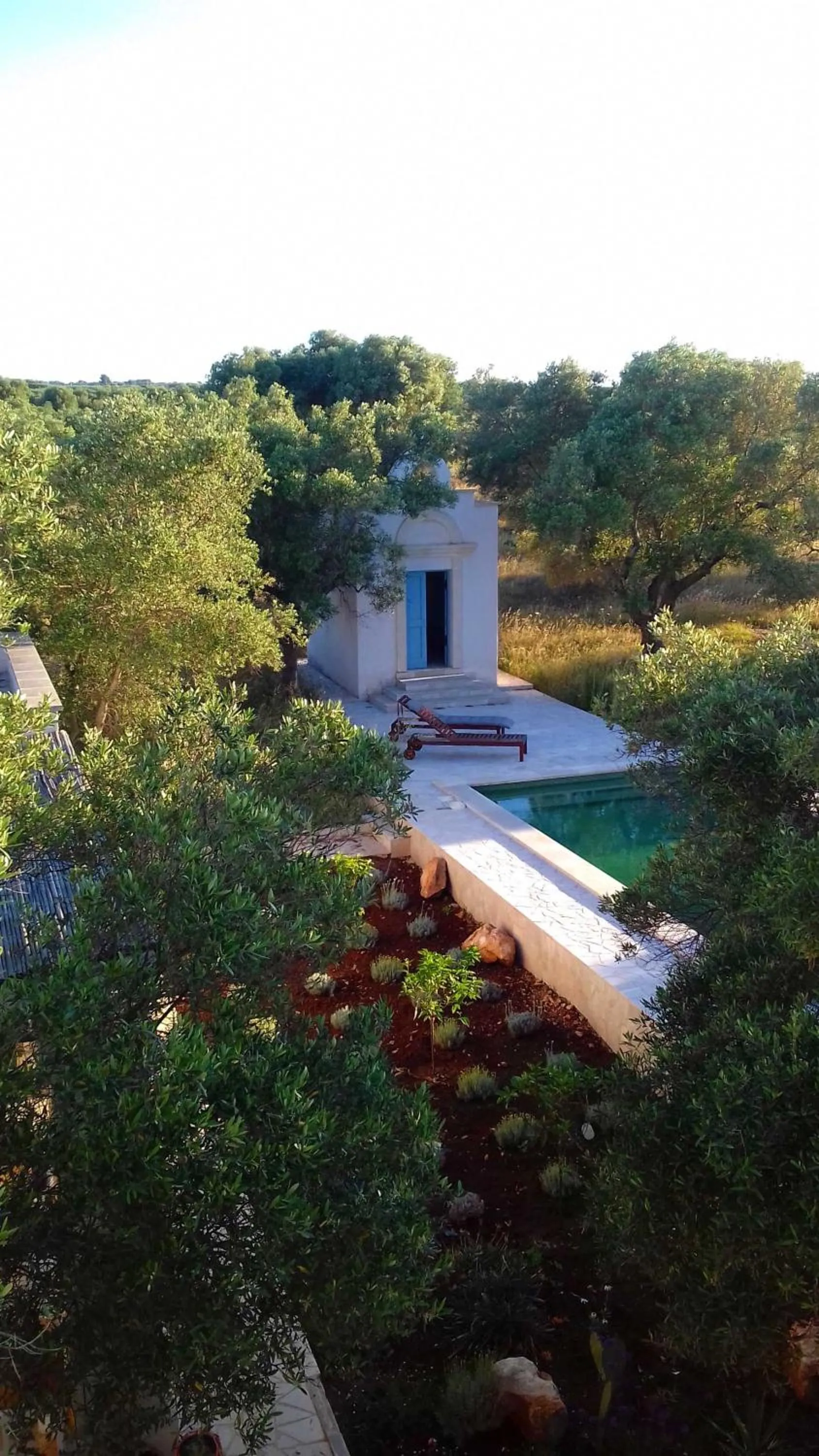 Pool view in The Proud Garden